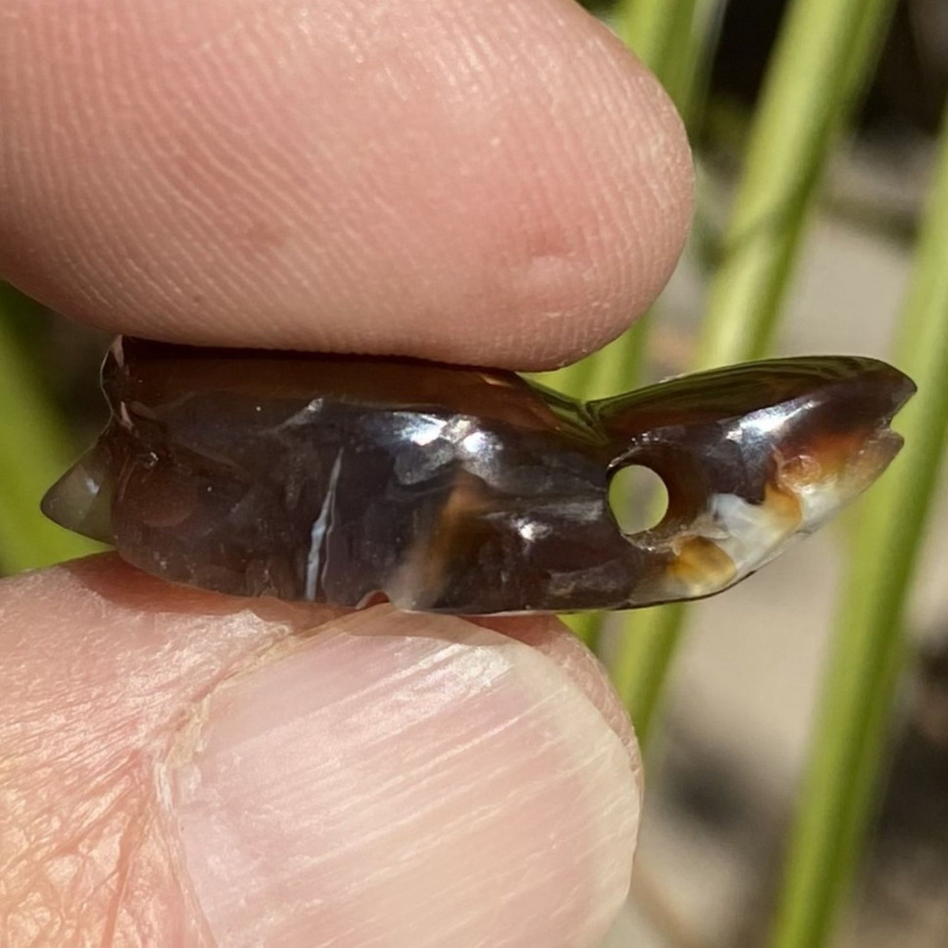 Close-up of a Aguascalientes Fire Agate Creature Carving Charm Specimen held between two fingers with a blurred natural background