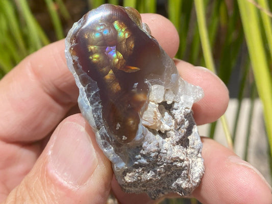 Hand holding a piece of windowed Mexican fire agate rough with bright iridescent patterns against a natural background