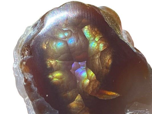 Close-up of a colorful Aguascalientes Mexican fire agate stone with imperial iridescent color patterns.