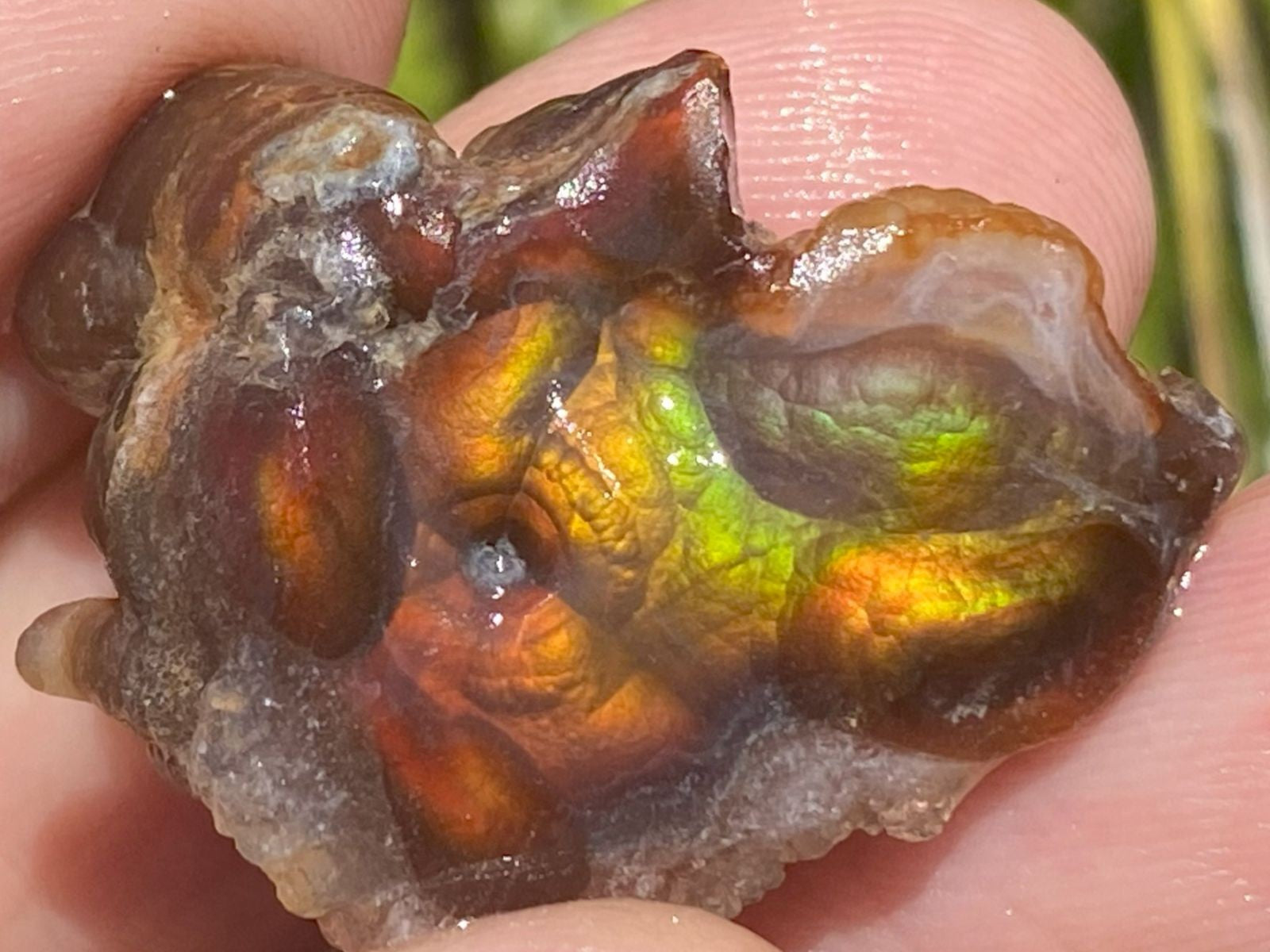Close-up of a Fire Agate Rough Aguascalientes Mexico Windowed Gemstone held between fingers