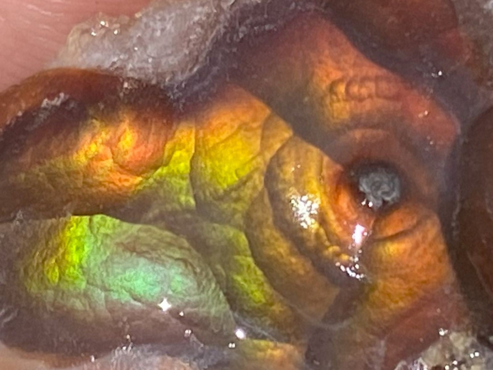 Close-up of a colorful Fire Agate Rough Aguascalientes Mexico Windowed Gemstone with iridescent properties