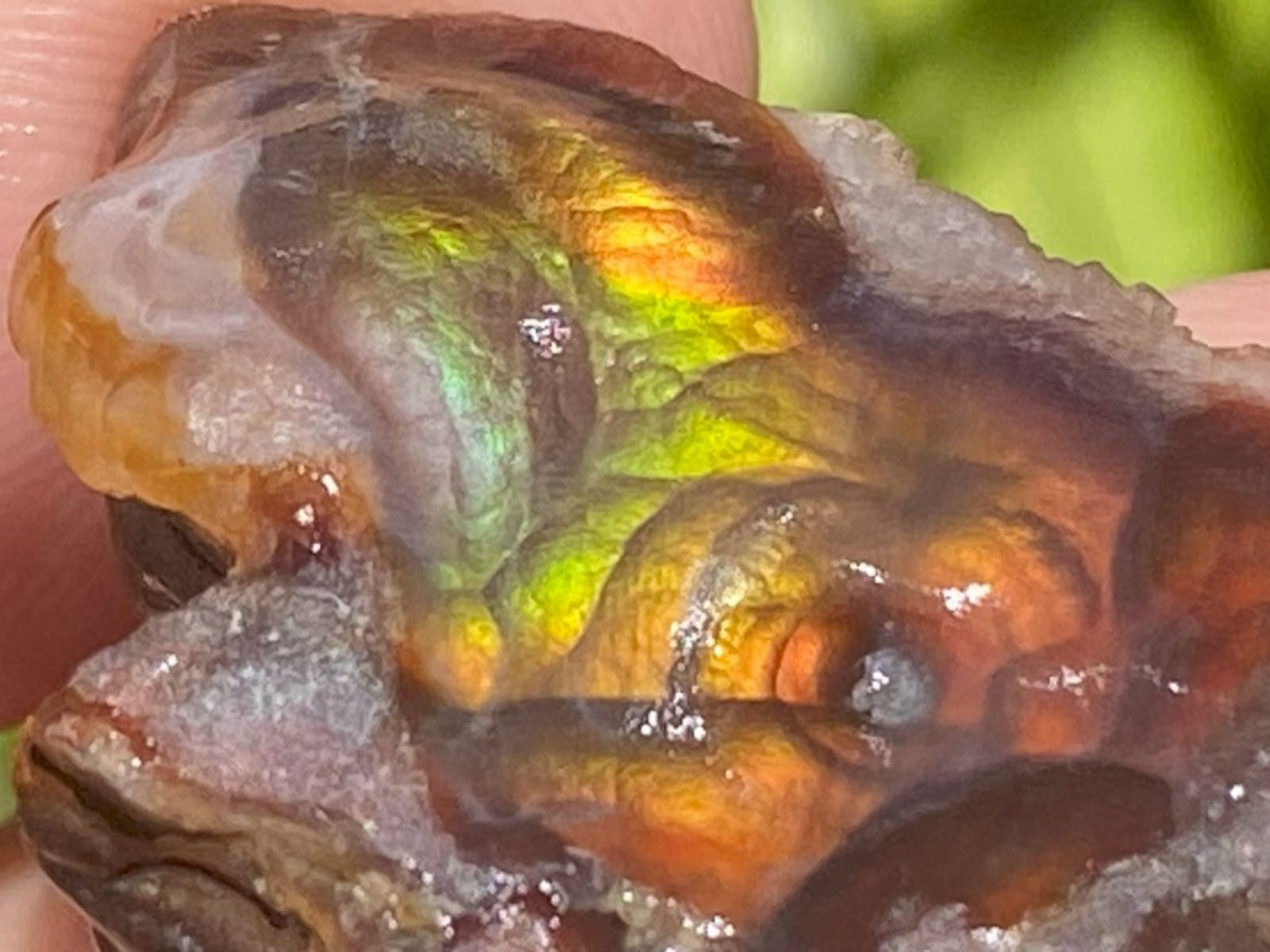 Close-up of a colorful Fire Agate Rough Aguascalientes Mexico Windowed Gemstone with iridescent properties held between fingers.
