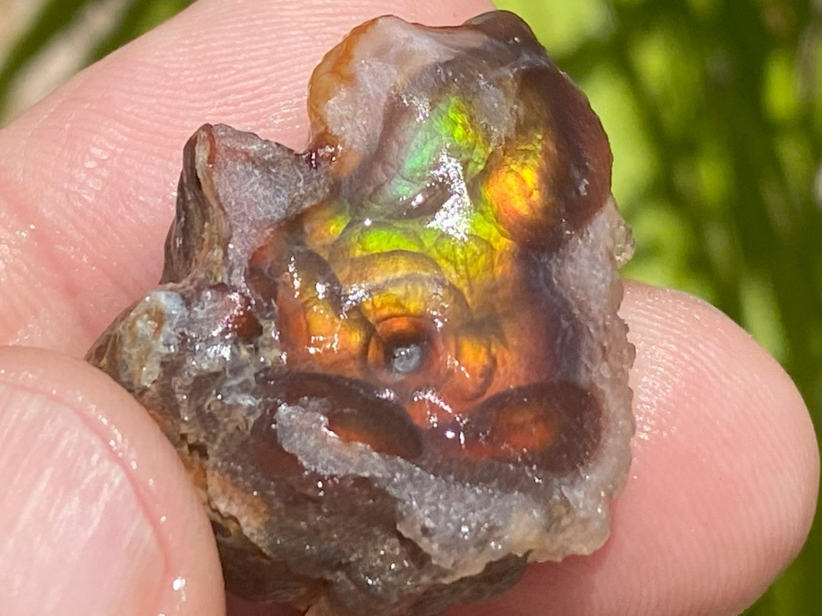 Close-up of a Fire Agate Rough Aguascalientes Mexico Windowed Gemstone crystal held between fingers with a blurred natural background