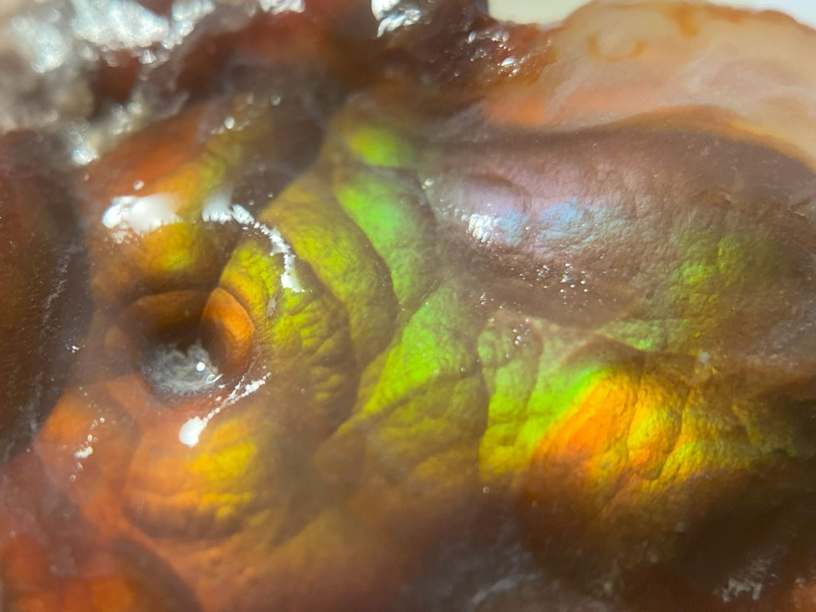 Close-up of a colorful Fire Agate Rough Aguascalientes Mexico Windowed Gemstone with iridescent patterns.