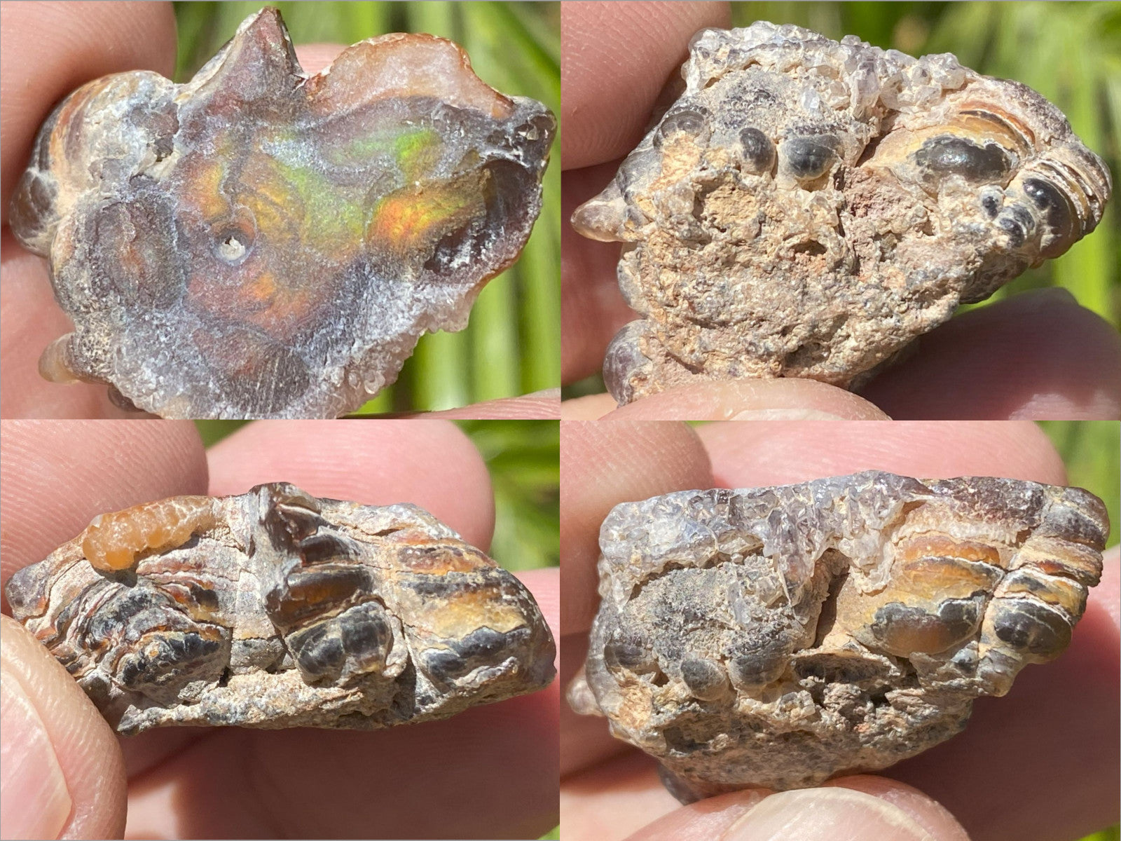 Four views of a Fire Agate Rough Aguascalientes Mexico Windowed Gemstone held in a hand against a natural background.