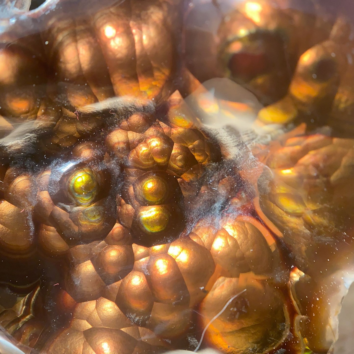 Close-up of a windowed and polished piece of Aguascalientes Fire Agate Rough.