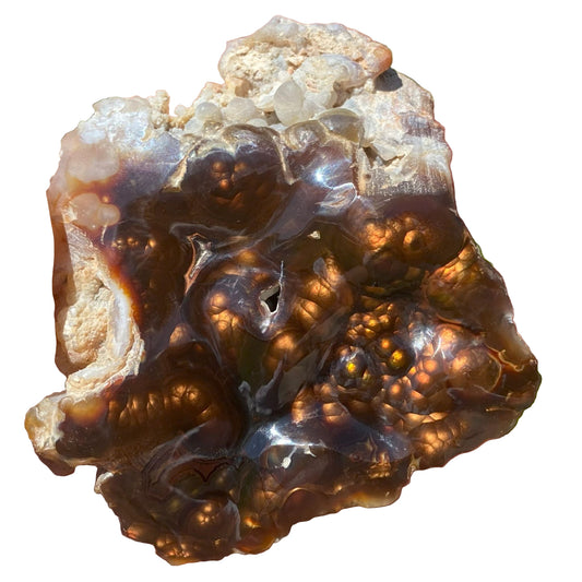 Close-up of a hand holding a large, rough-textured brown and beige Aguascalientes Fire Agate Rough with a blurred green background.