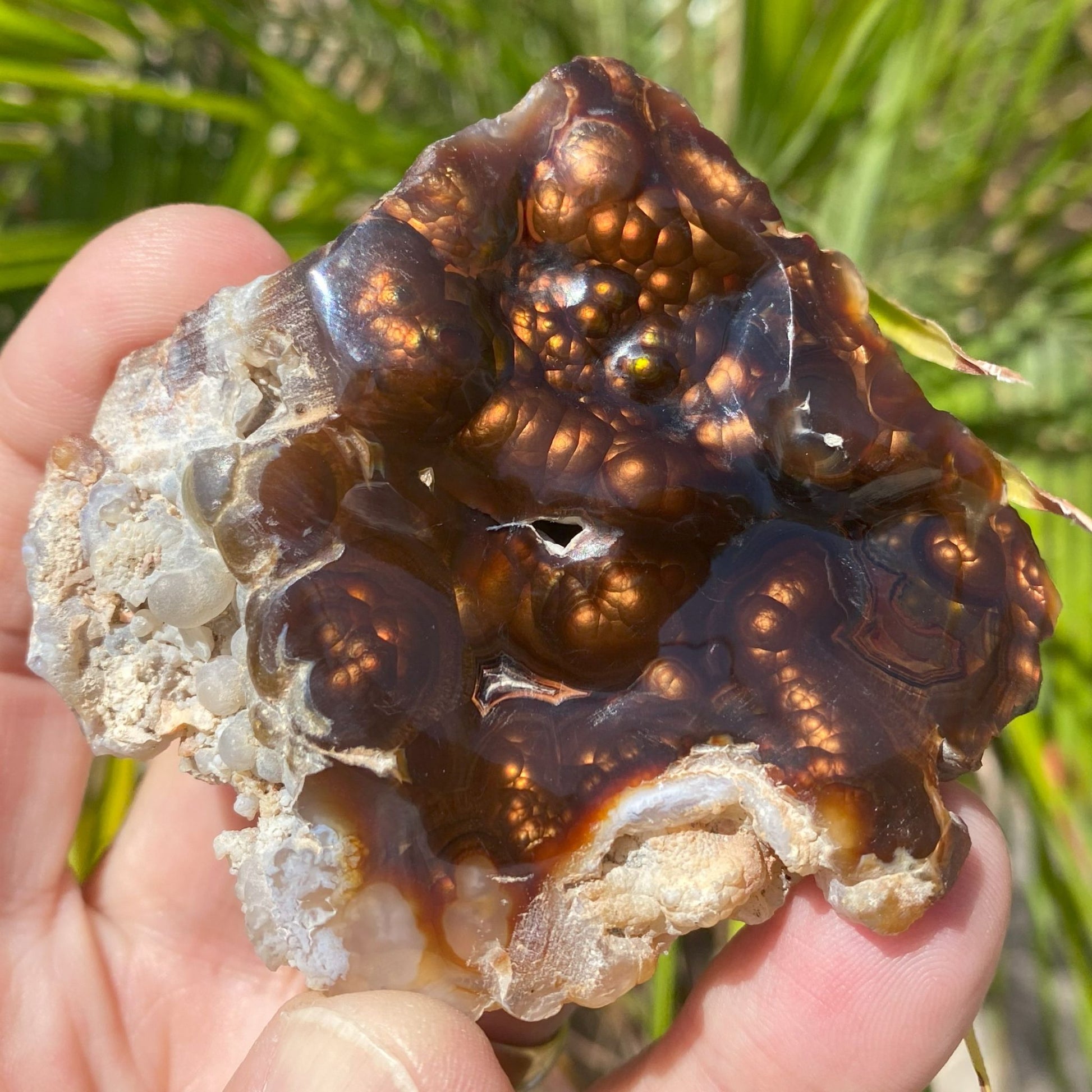 Close-up of a hand holding a piece of Aguascalientes Fire Agate Rough against a natural background