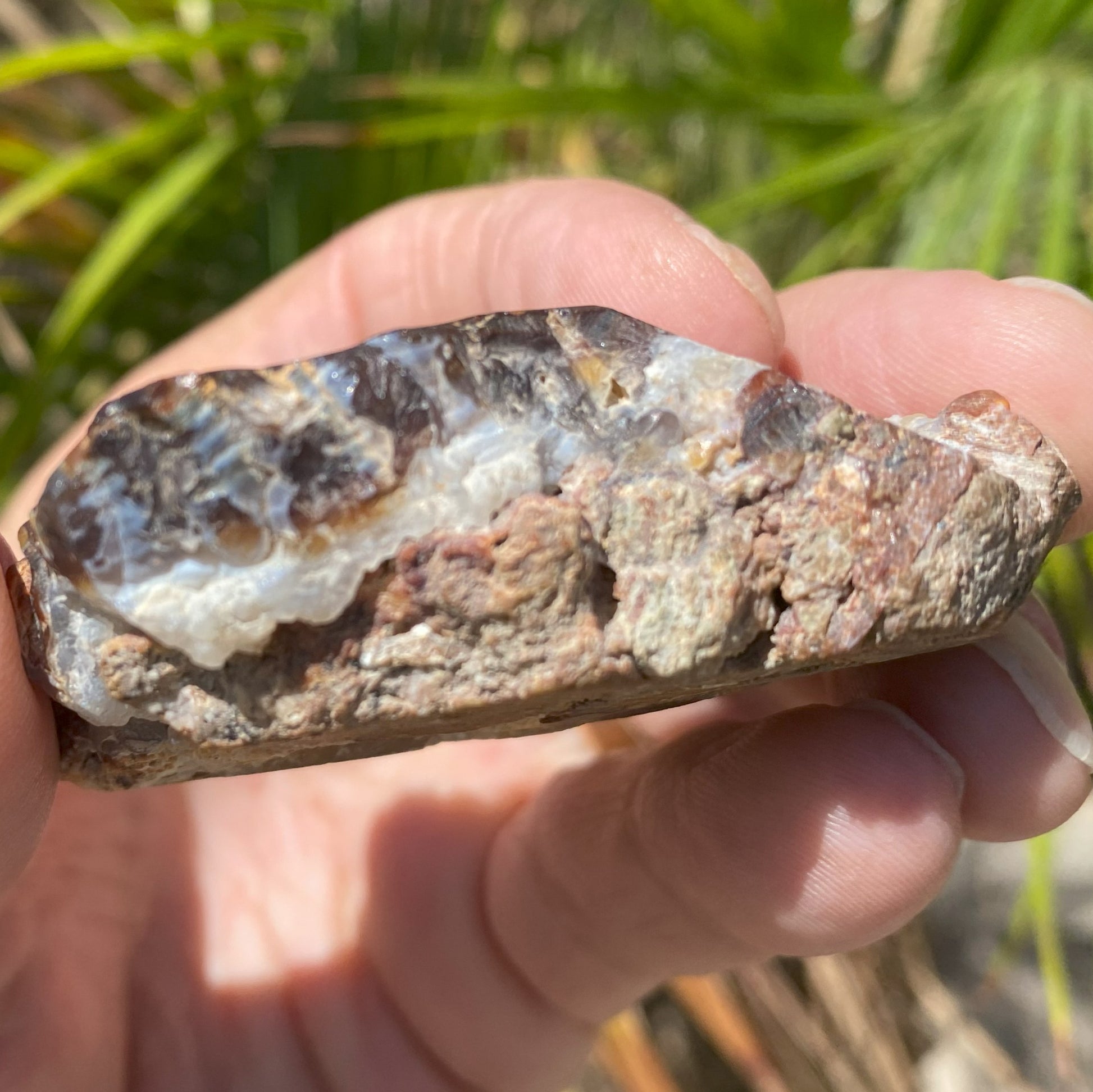 Hand holding a rough stone with a natural background