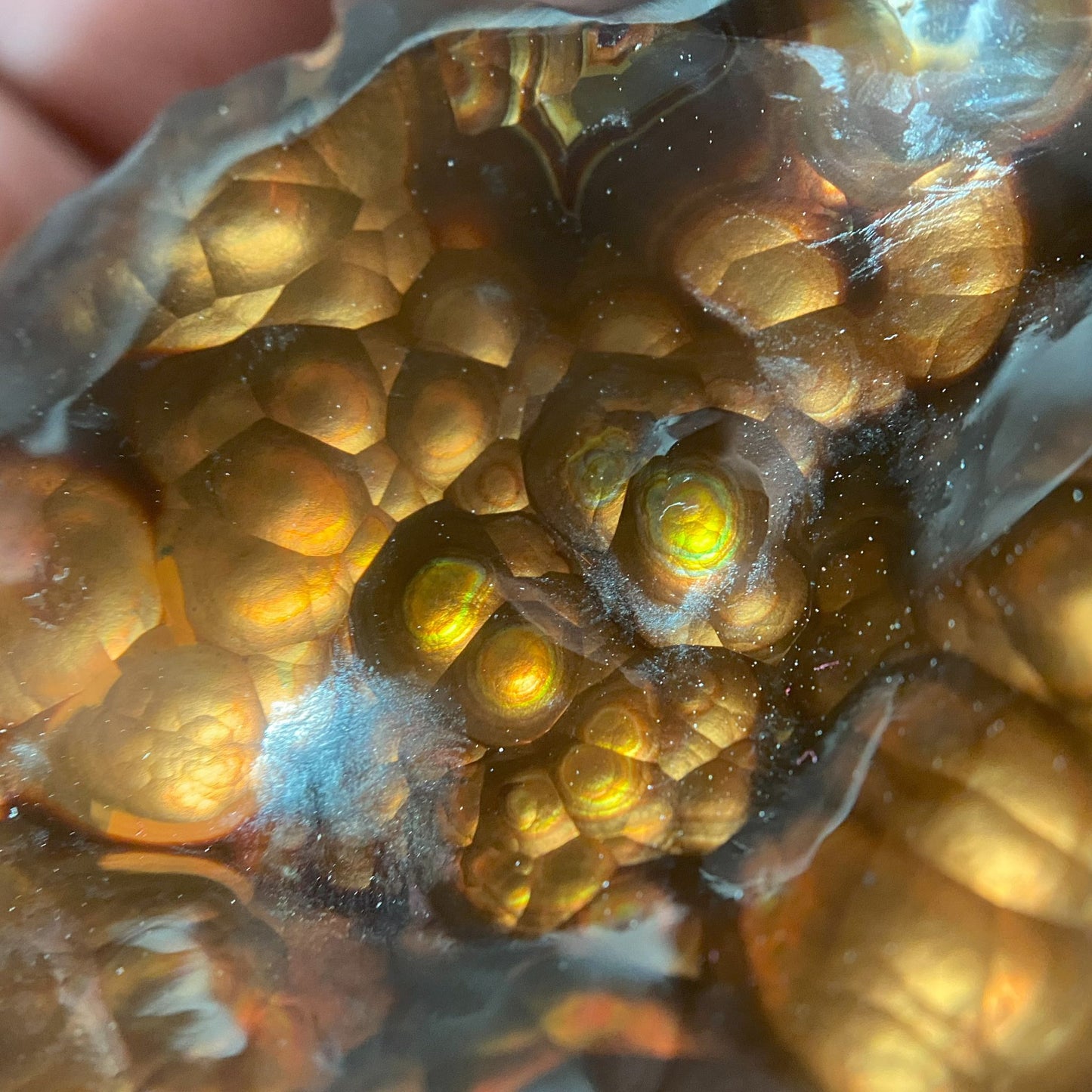 Close-up of a textured Aguascalientes Fire Agate Rough with a honeycomb like pattern