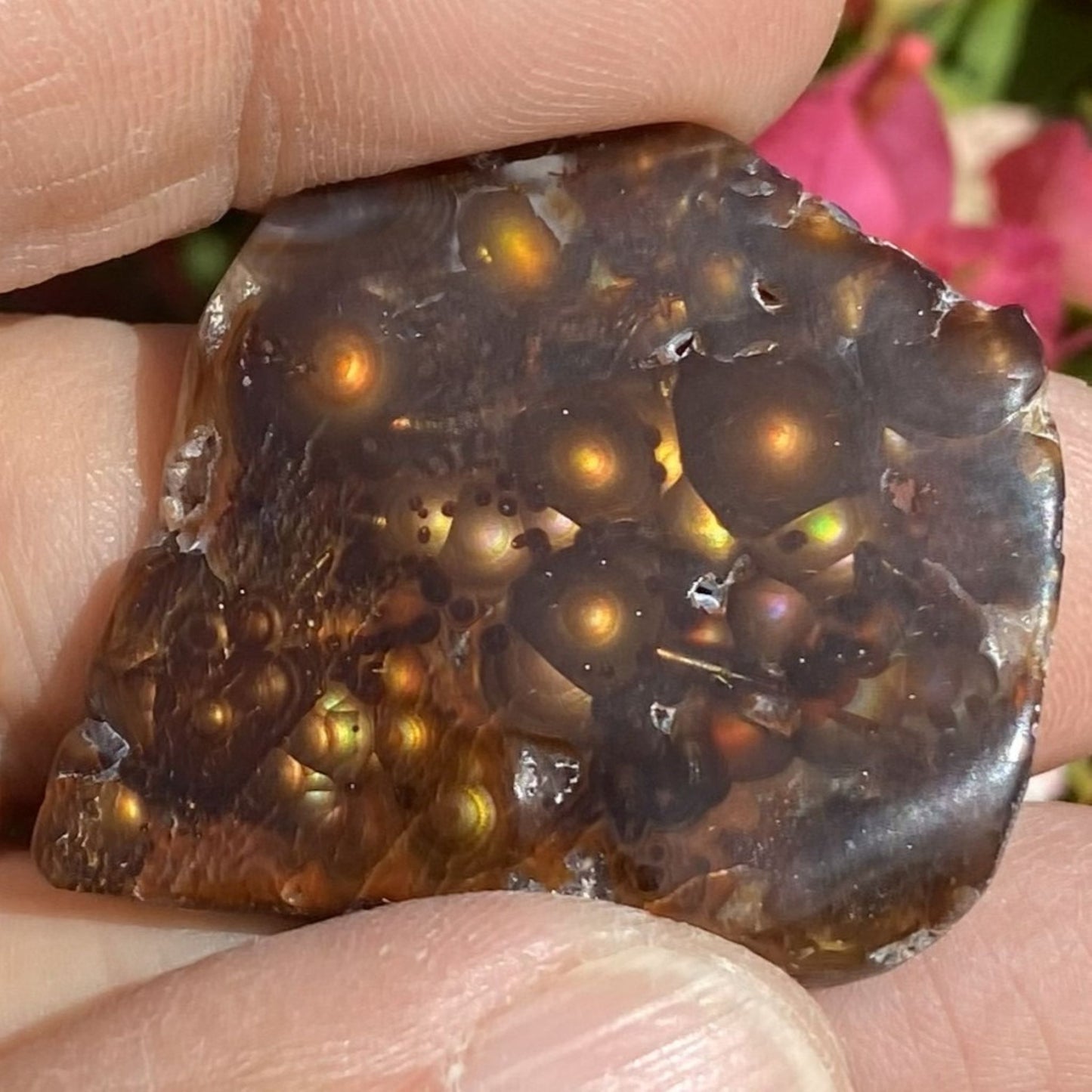 Close-up of a person holding a polished windowed fire agate rough specimen with visible inclusions.