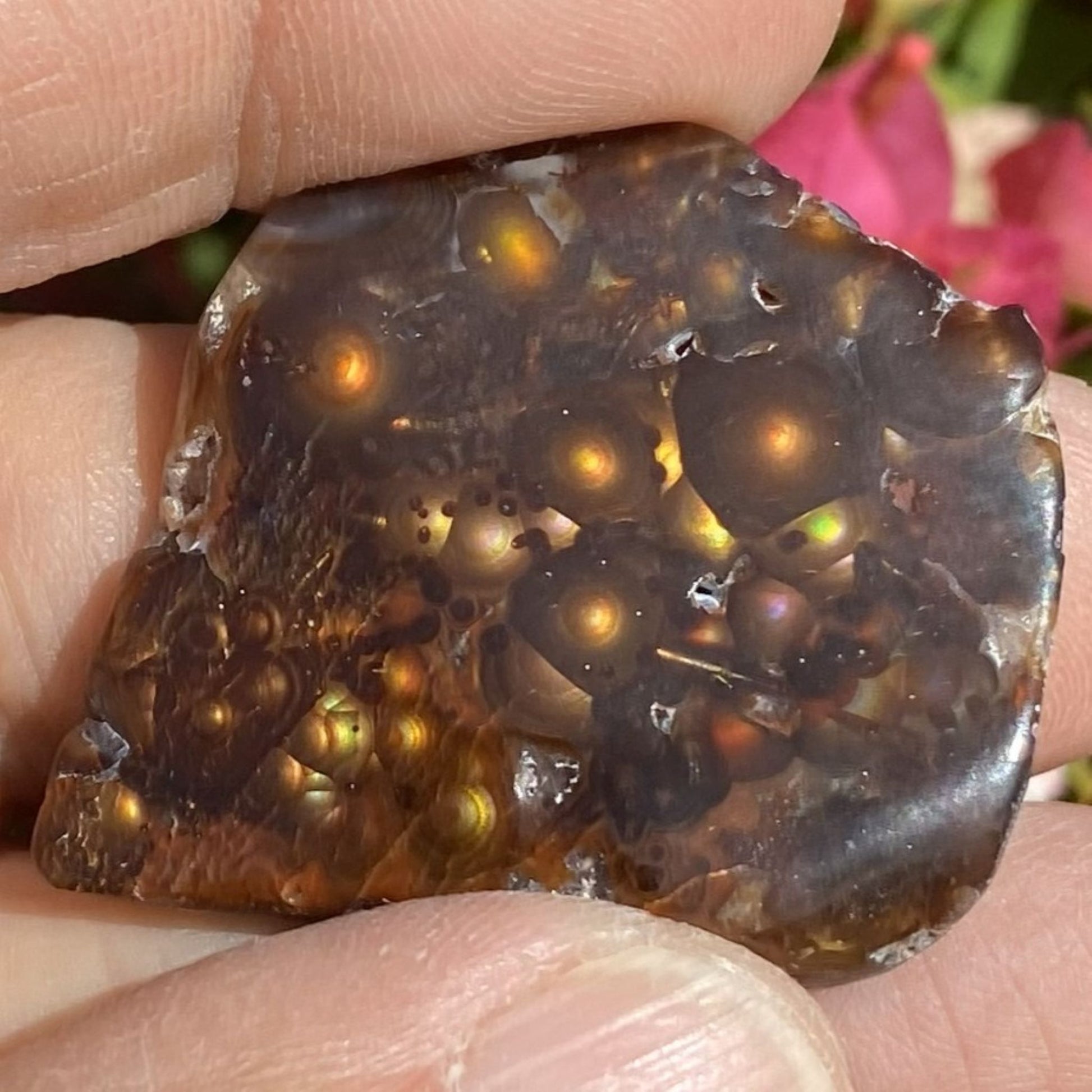 Close-up of a person holding a polished windowed fire agate rough specimen with visible inclusions.