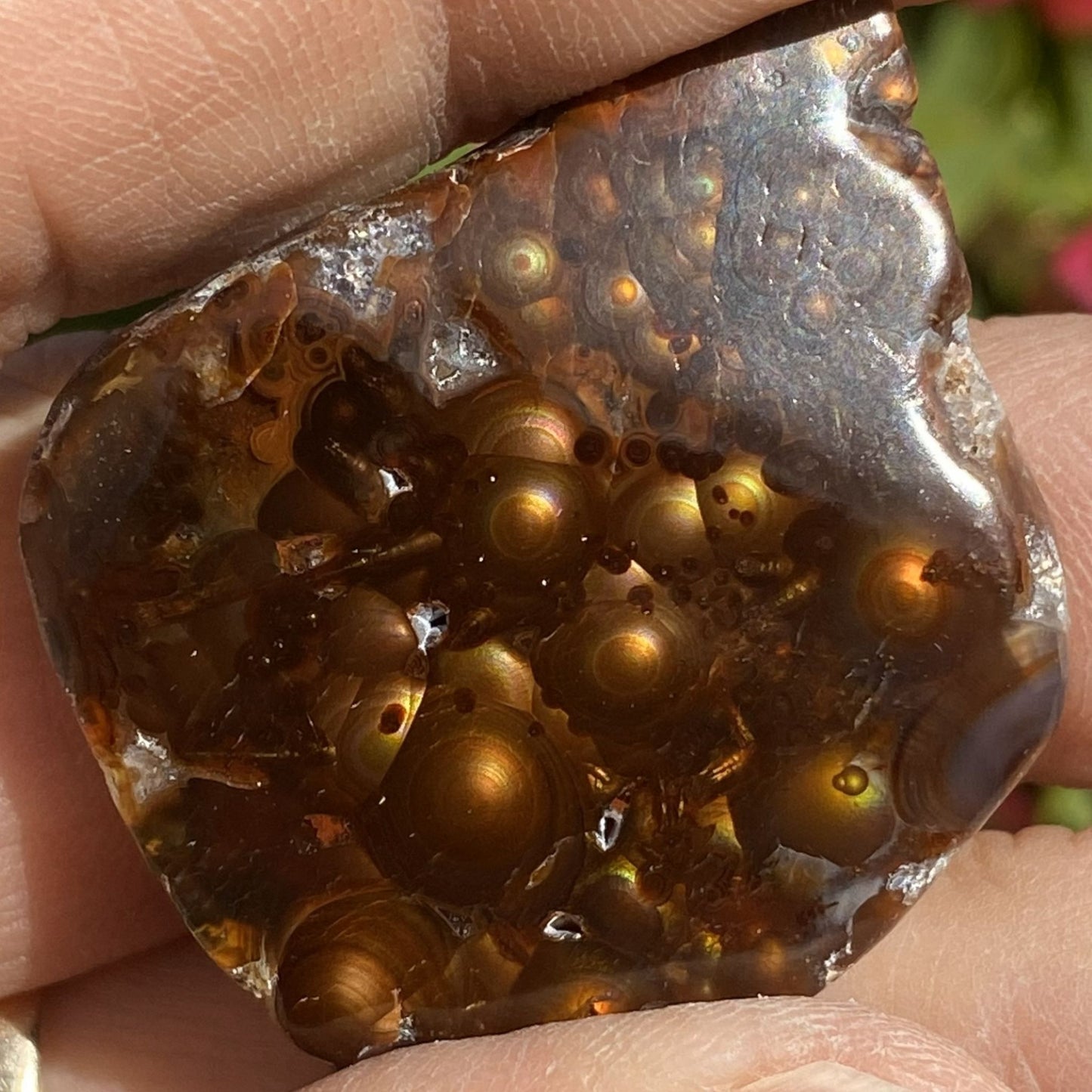 Close-up of a hand holding a fire agate crystal with embedded spherical objects
