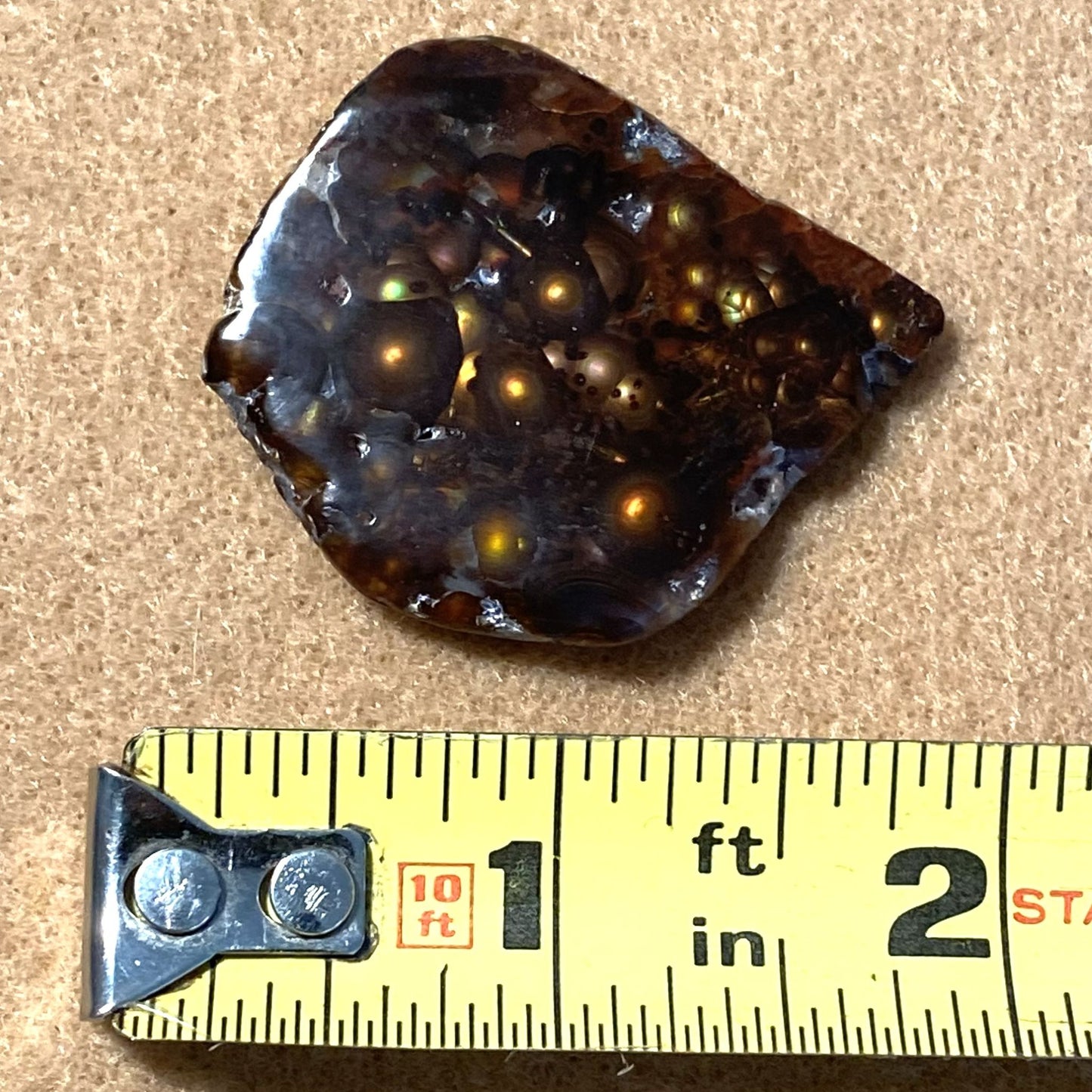 Polished windowed Aguascalientes Mexican fire agate with visible inclusions on a beige surface, measured against a tape measure.