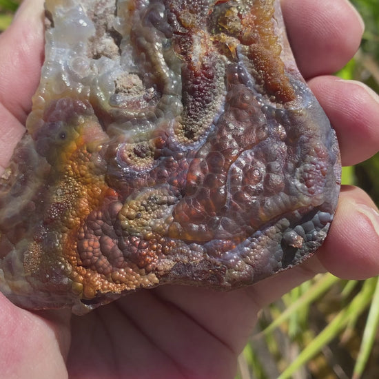 Deer Creek Fire Agate Specimen DCM032 Product Video