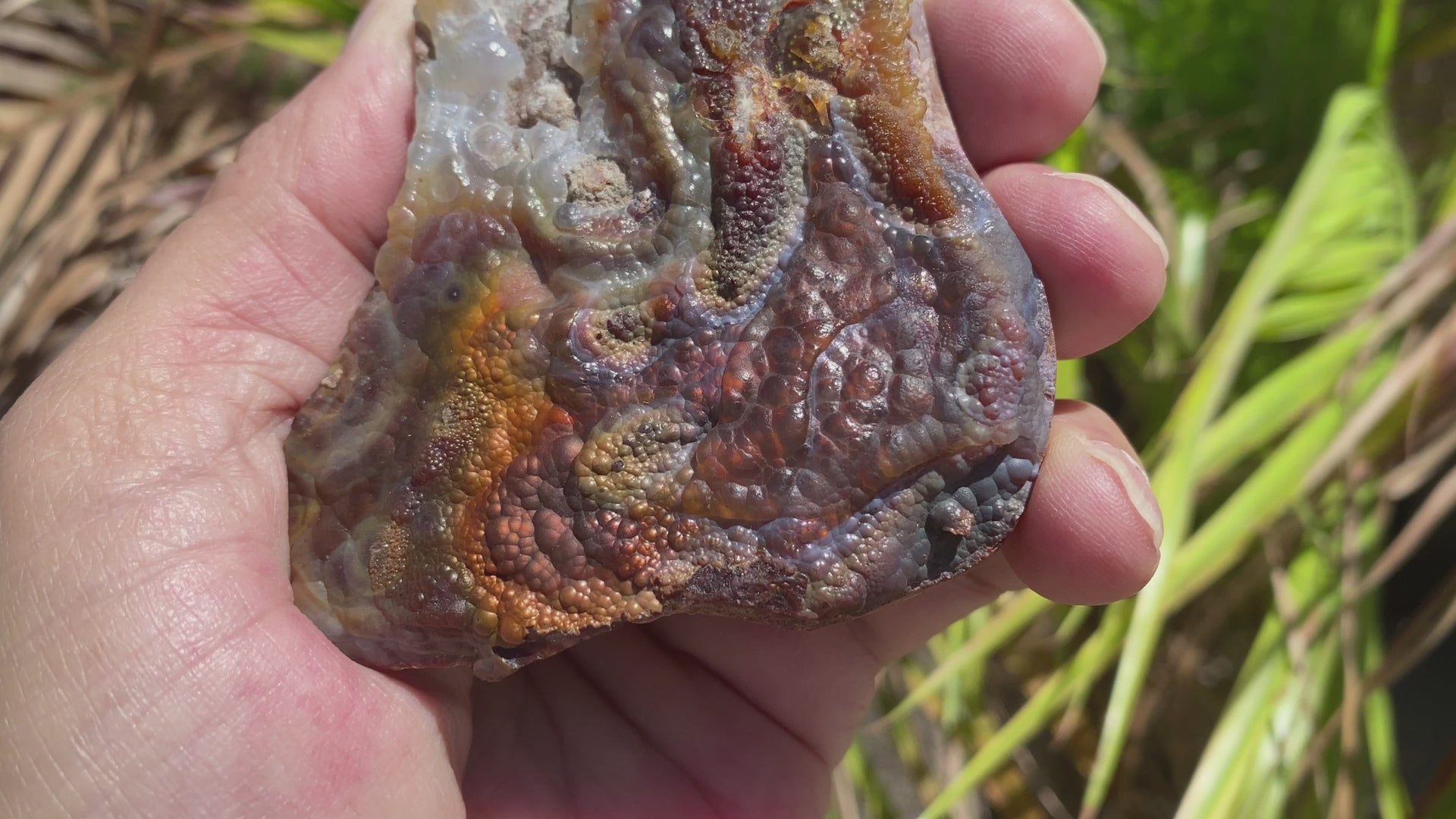 Deer Creek Fire Agate Specimen DCM032 Product Video
