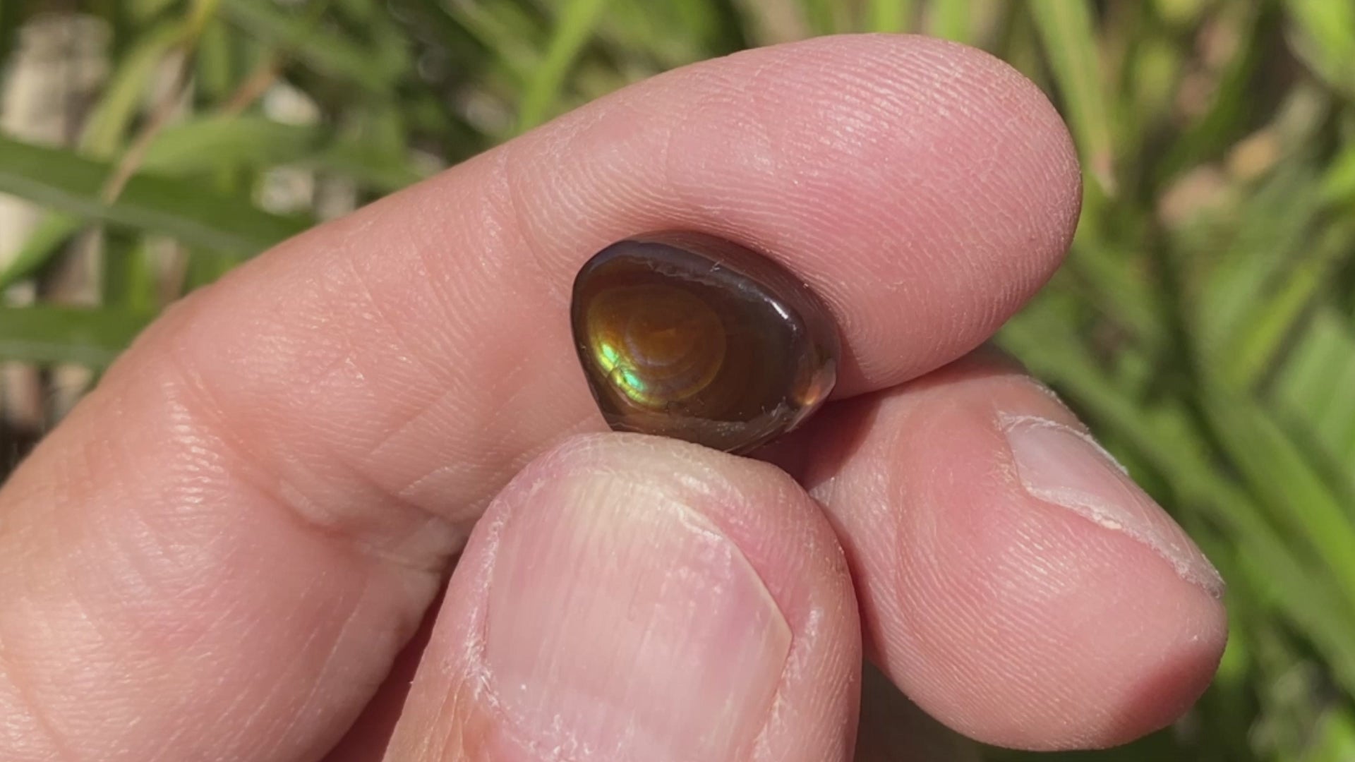 Slaughter Mountain Fire Agate Gemstone SLG086 Product Video