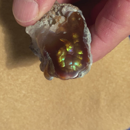 Aguascalientes Fire Agate rough mineral specimen MXW017 product video.