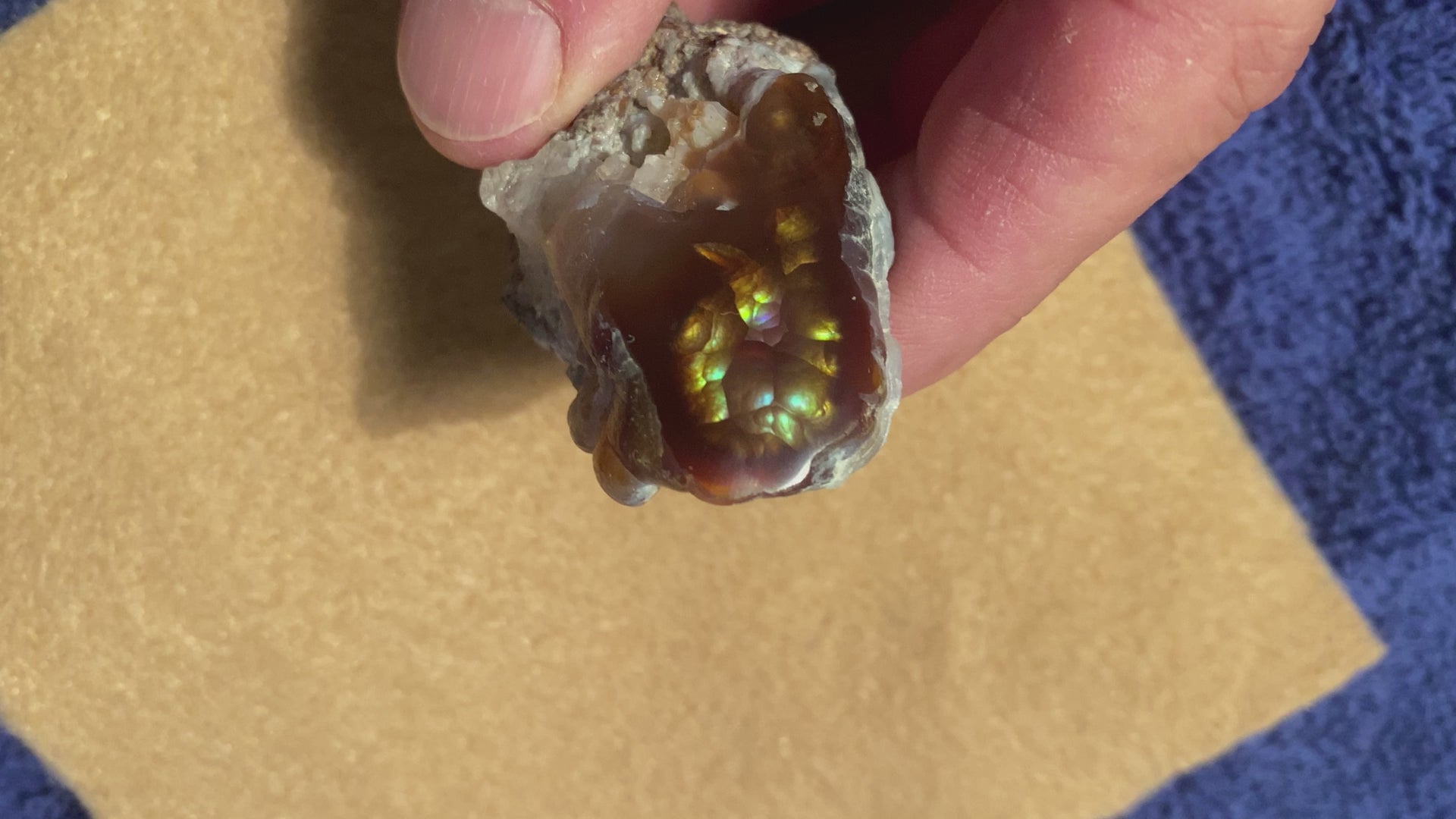 Aguascalientes Fire Agate rough mineral specimen MXW017 product video.