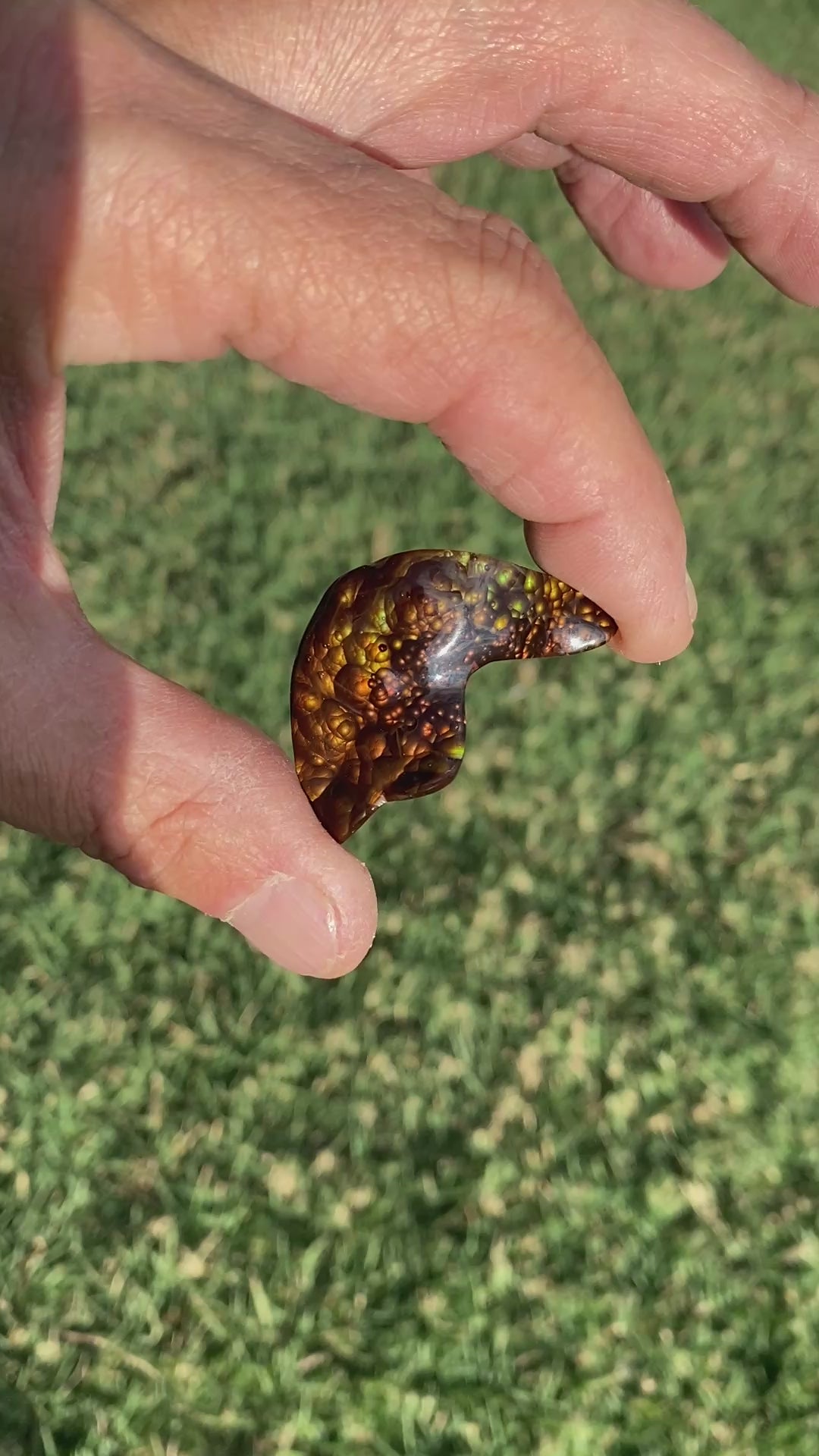 Video showing Slaughter Mountain Fire Agate Gemstone SLG089