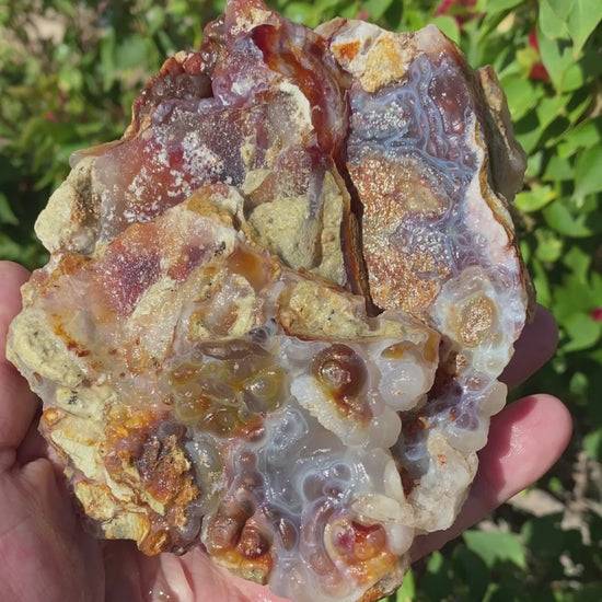 Fire Agate Rough Mineral Specimen Slaughter Mountain 1.63 Pounds SLM068 Product Video