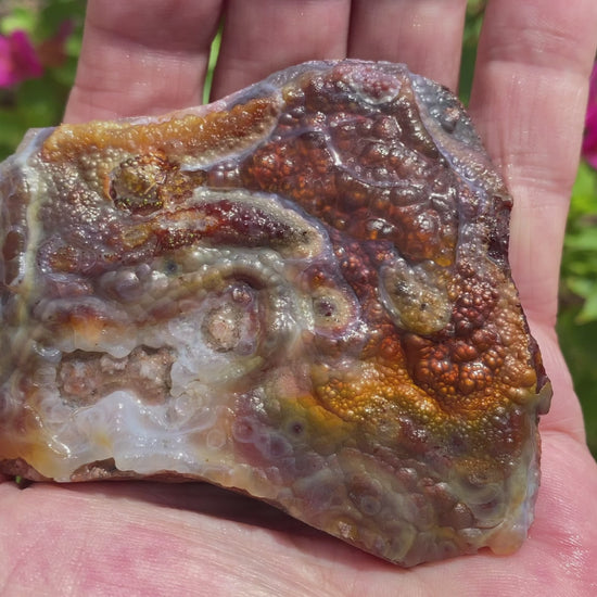 Deer Creek Fire Agate Specimen DCM032 Product Video