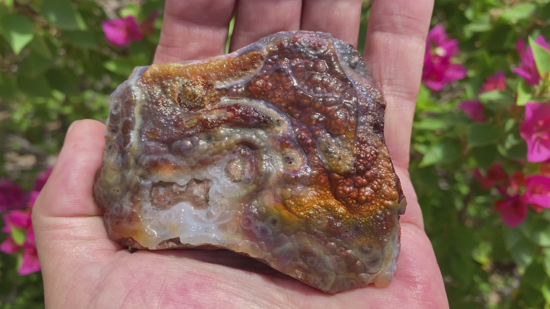 Deer Creek Fire Agate Specimen DCM032 Product Video