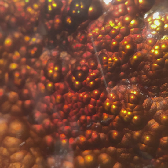 Fire Agate Gemstone Deer Creek Arizona 37.3 Carats DCG043 Product Video