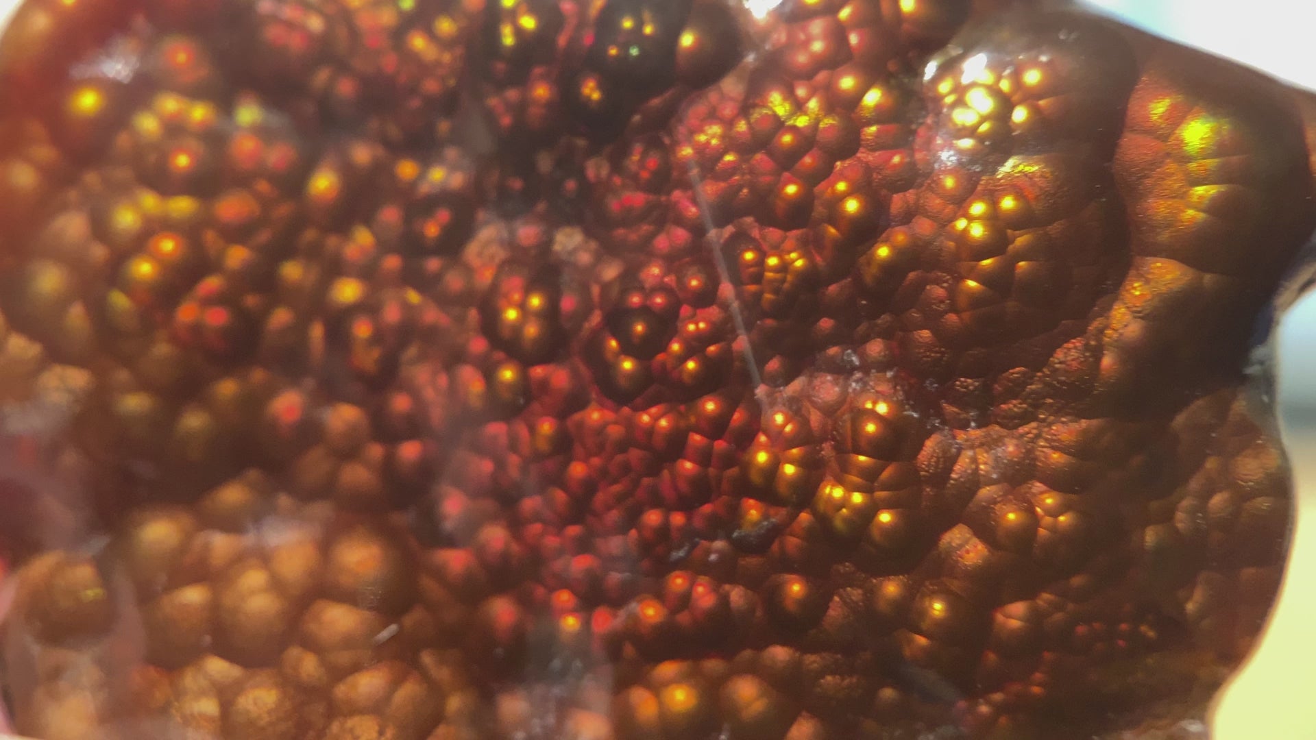 Fire Agate Gemstone Deer Creek Arizona 37.3 Carats DCG043 Product Video