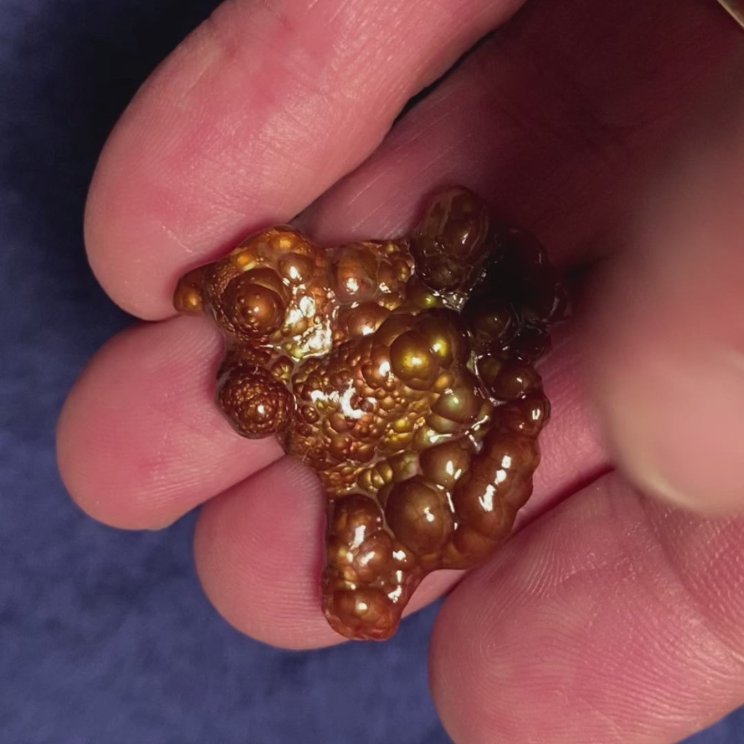 Deer Creek Fire Agate Gemstone Specimen 20.5 Carats DCM025 Product Video