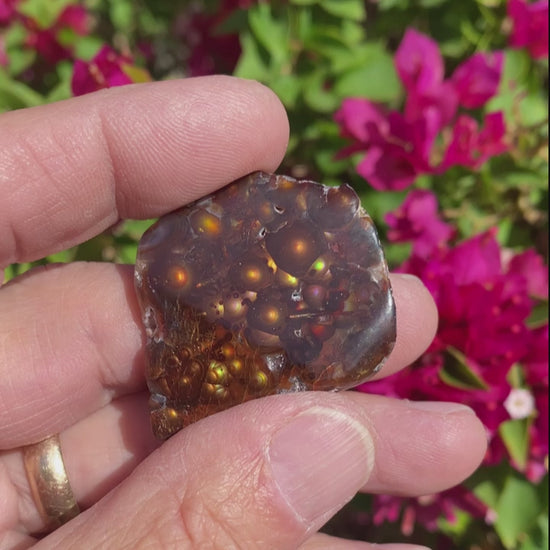 Fire Agate Rough Aguascalientes Mexico Windowed Gemstone MXW025 Product Video