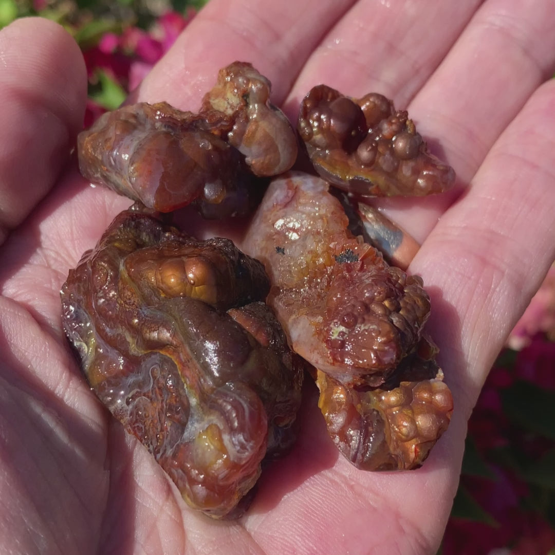 Deer Creek Fire Agate Rough Gemstones DCR074 Product Video