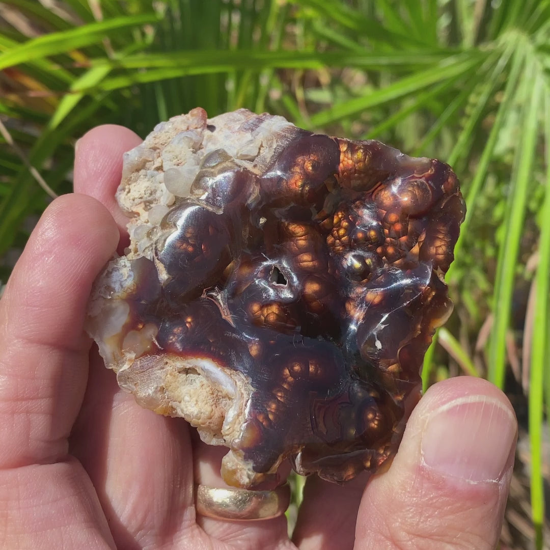 Fire Agate Rough Aguascalientes Mexico Windowed Gemstone 79 Grams MXW022 Product Video