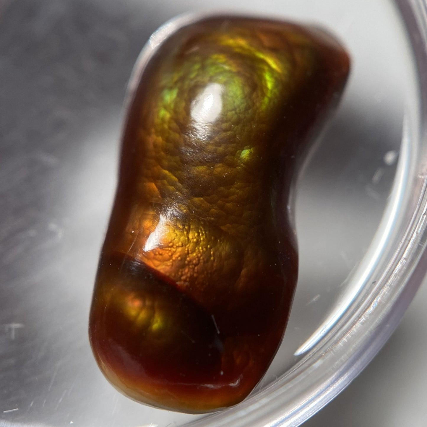 Slaughter Mountain Fire Agate Gemstone with a metallic sheen on a reflective surface