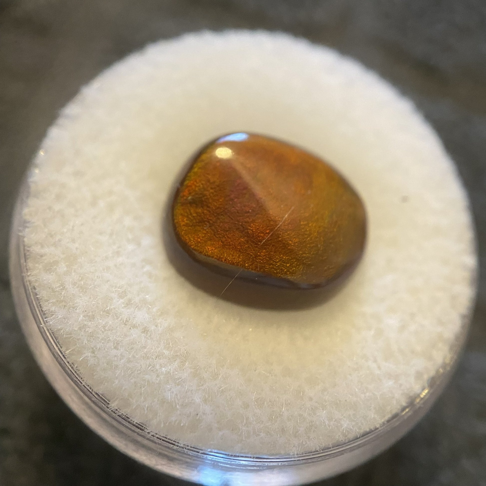 A polished, teardrop-shaped amber gemstone with iridescent golden-brown shimmer, displayed on a white textured foam insert inside a clear plastic container.