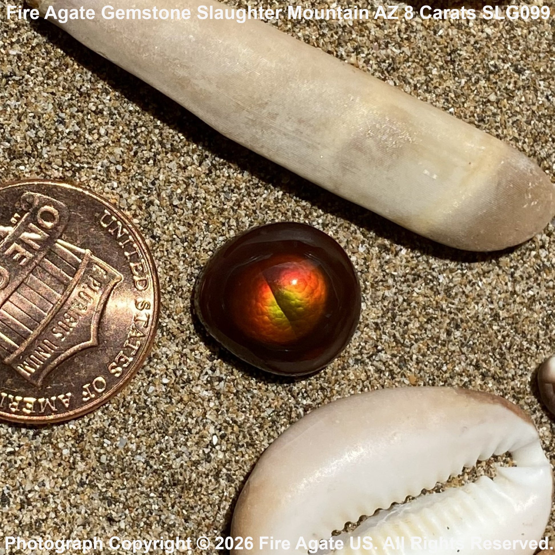 A Fire Agate gemstone with a vibrant red, orange, and green iridescent core, displayed on sand next to a US penny for scale and other seashells.