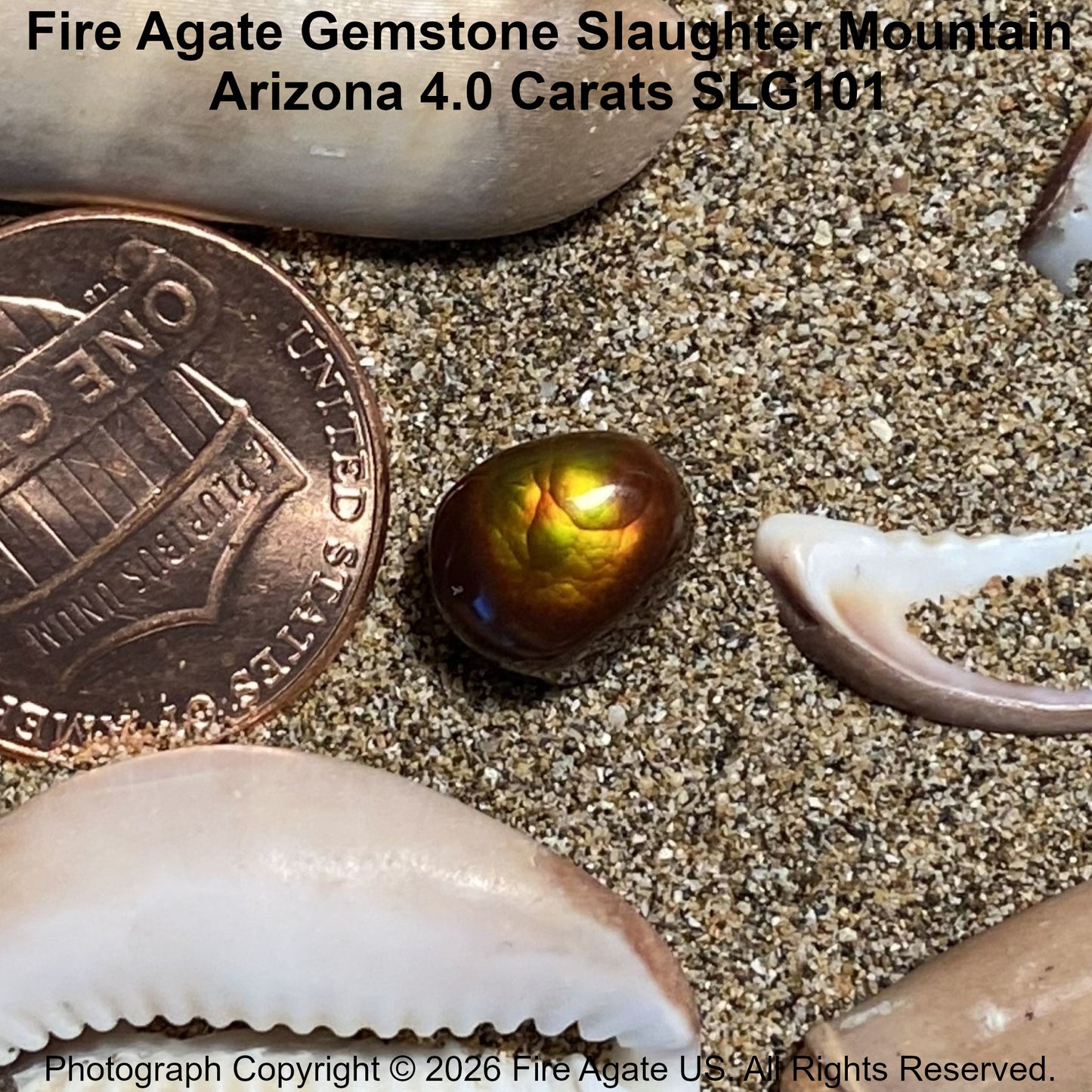 A 4.0 carat Fire Agate gemstone with a metallic olive-green and amber iridescent sheen, displayed on sand next to a US penny for scale, with shell fragments and a gray stone in the background.