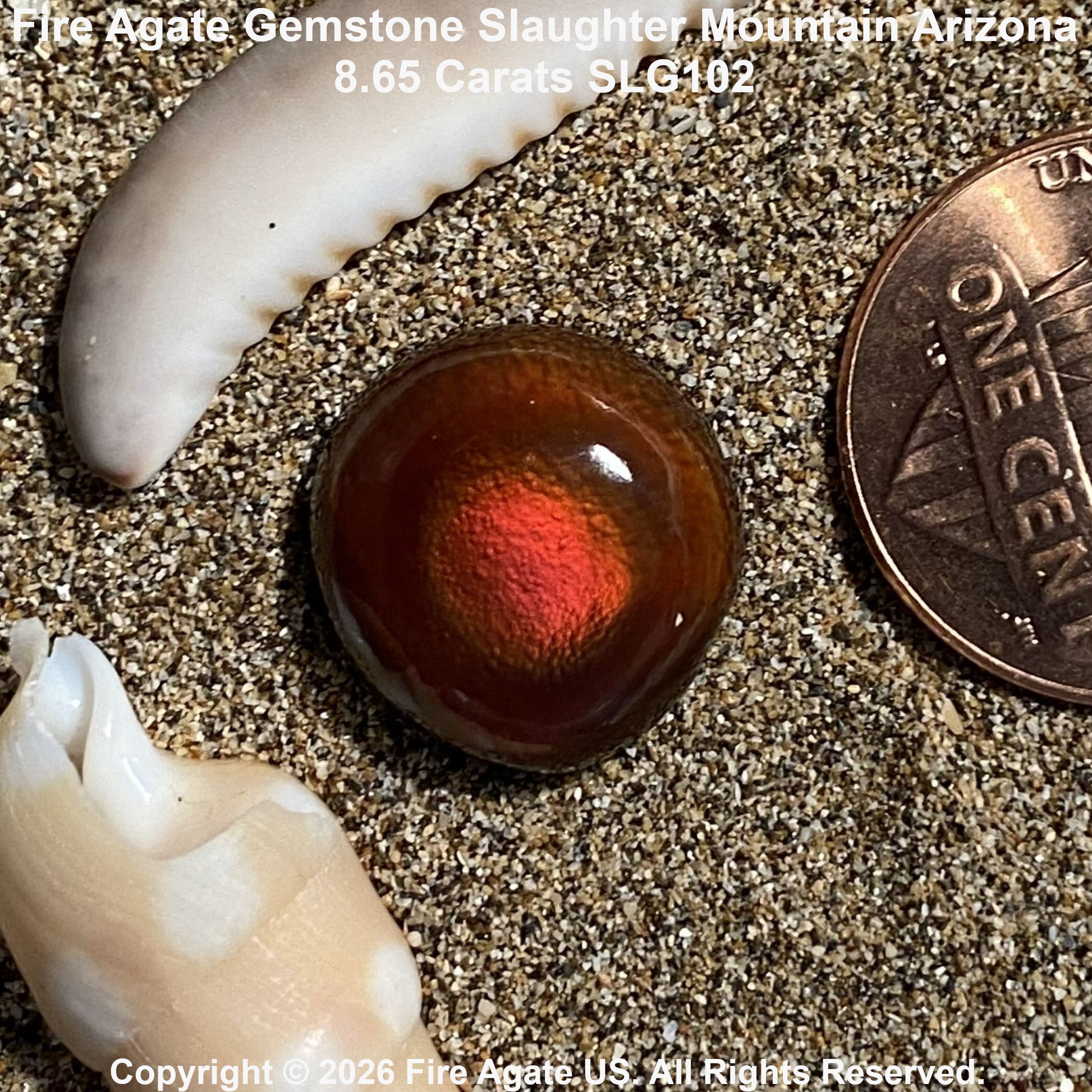 A round fire agate gemstone with a vibrant red-orange fiery center and dark brown outer band, resting on sand next to a penny for scale, with seashells in the background.