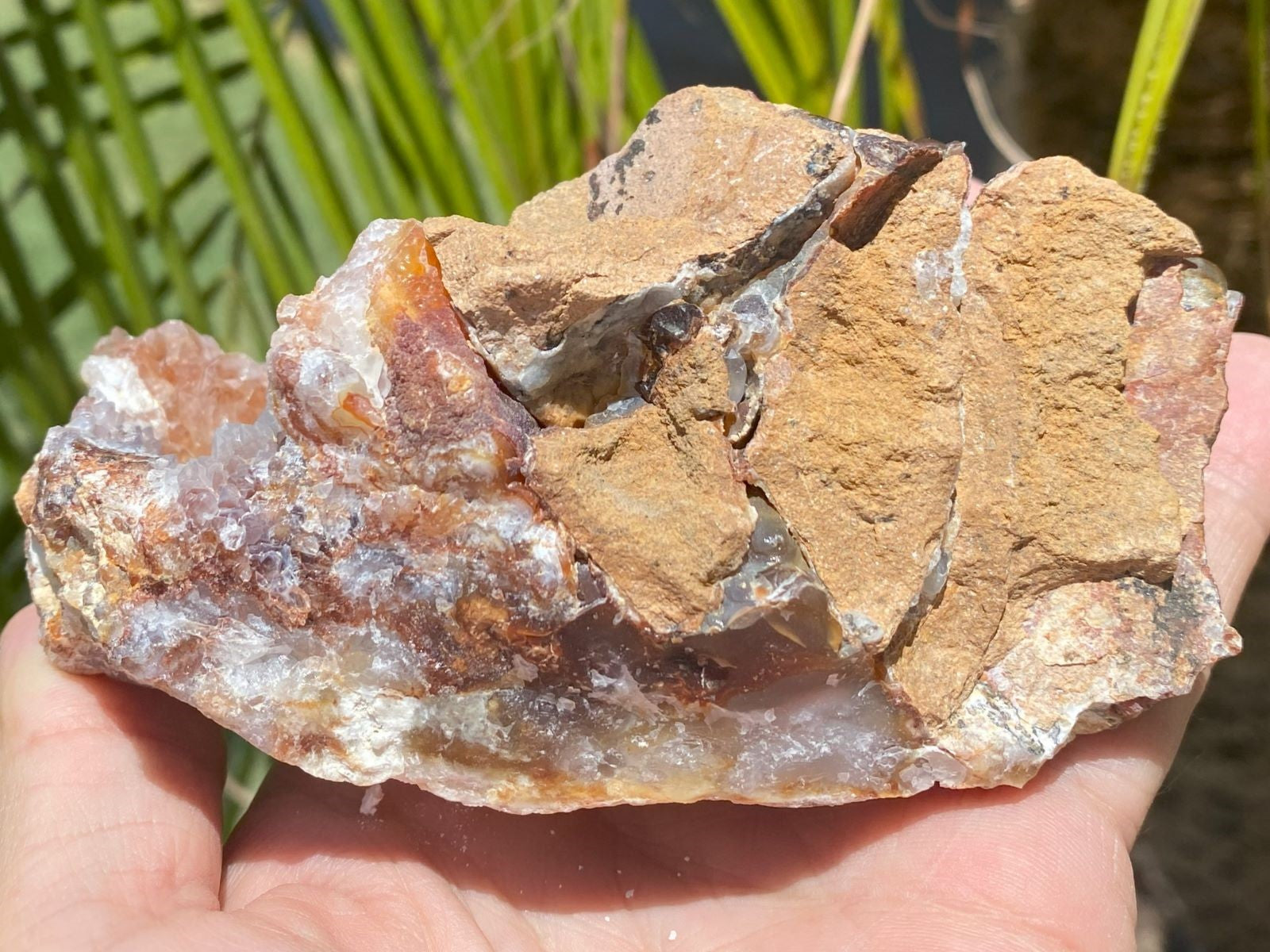 Hand holding a rough, brownish rock with visible crystals against a natural background