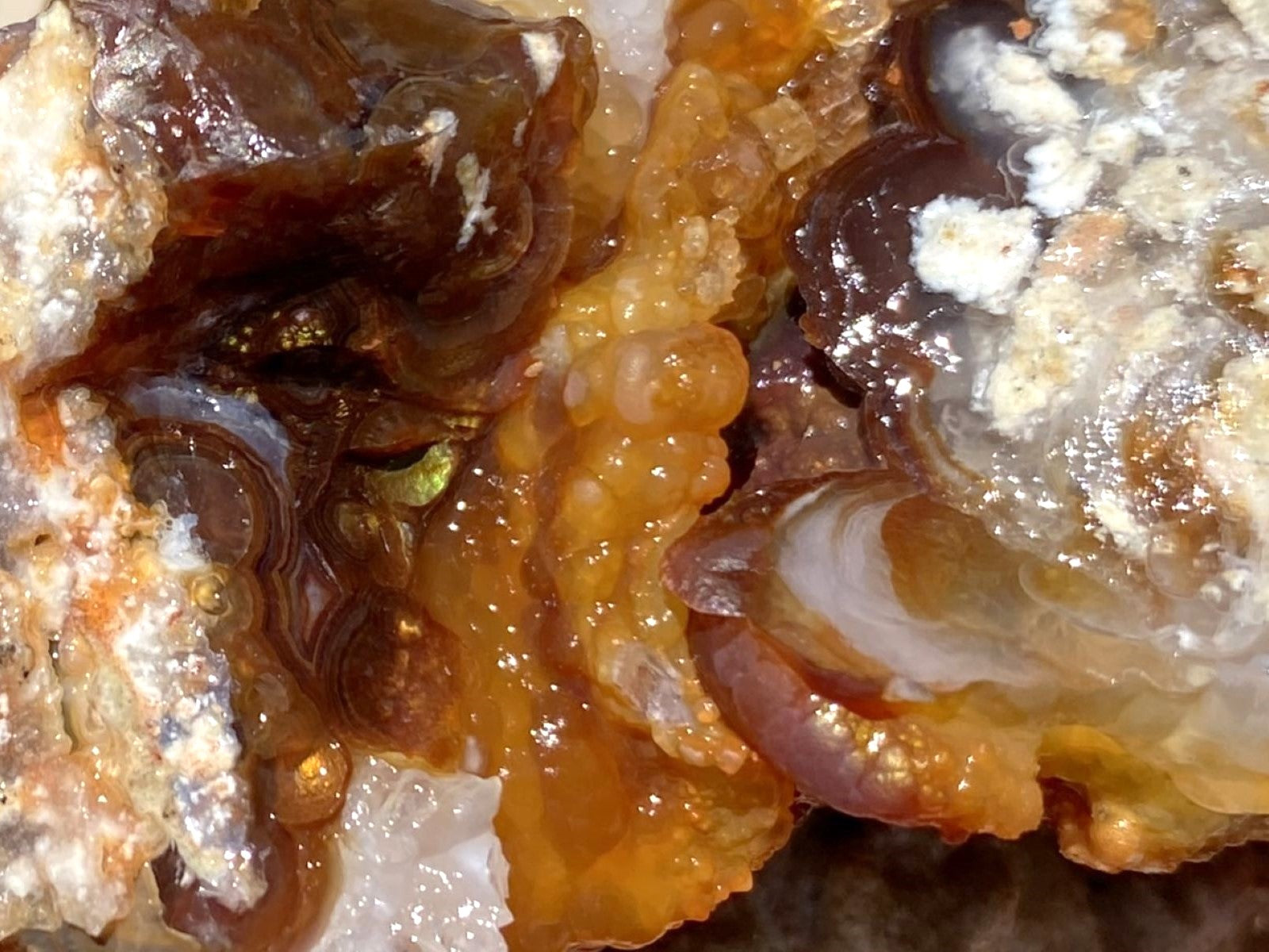 Close-up of Slaughter Mountain Fire Agate Mineral Specimen with brown and orange fire minerals
