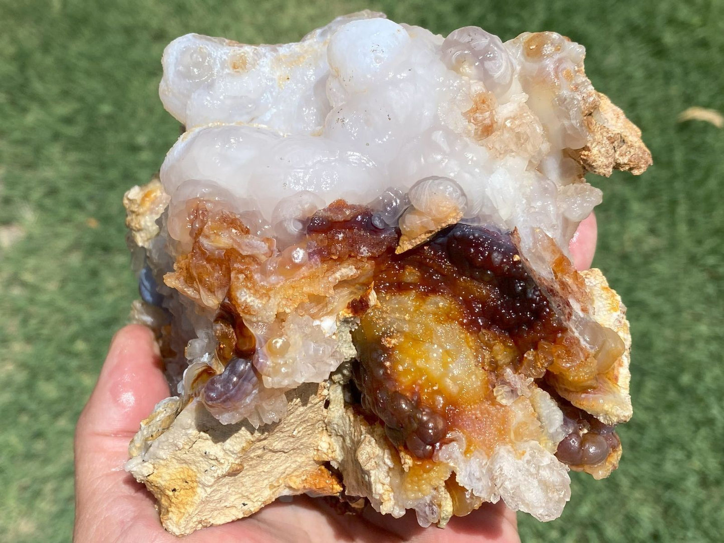 Hand holding a piece of Slaughter Mountain fire agate rough with a green grass background