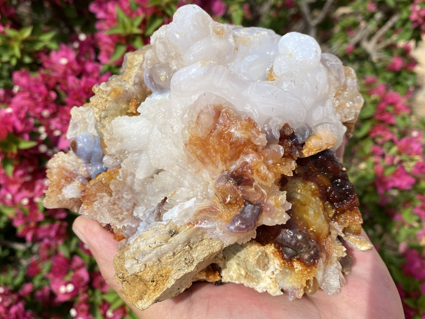 Slaughter Mountain fire agate rough mineral sample held in hand with pink flowers in the background