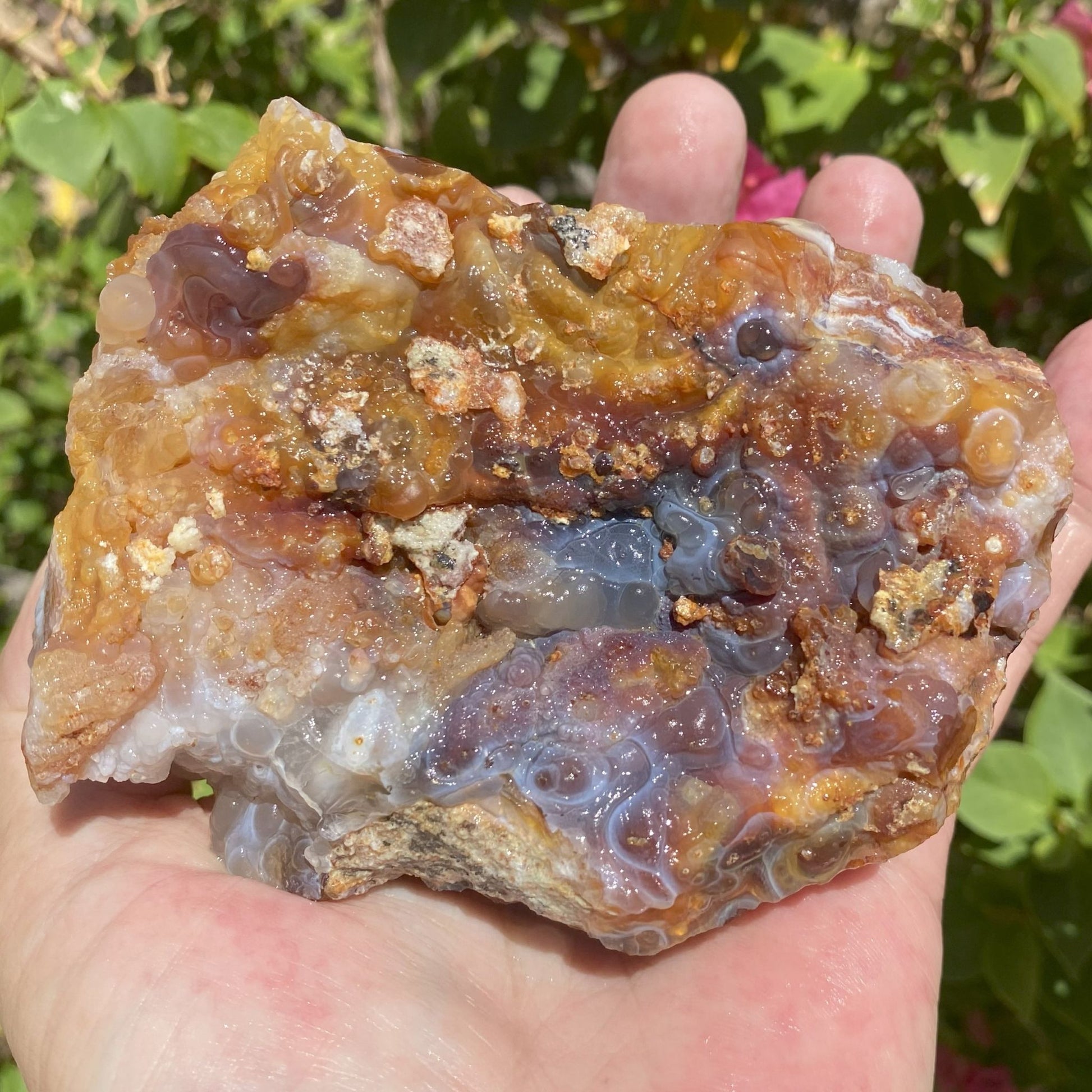 Hand holding a large multicolored Slaughter Mountain Fire Agate Rough Mineral Specimen rock with a natural background
