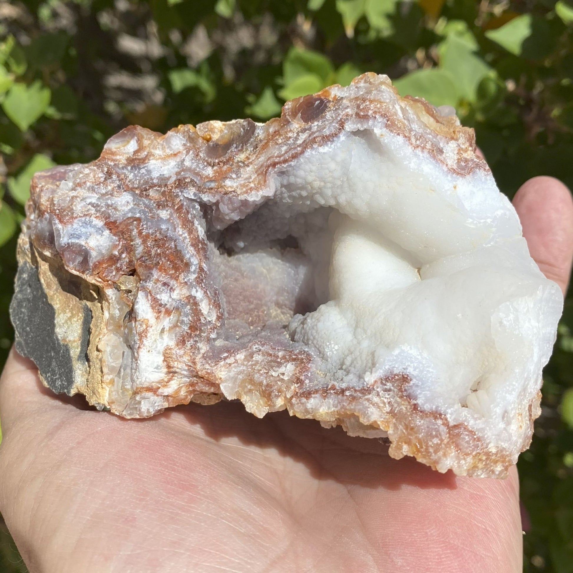 Hand holding a fire agate Mineral Specimen with visible minerals against a natural background