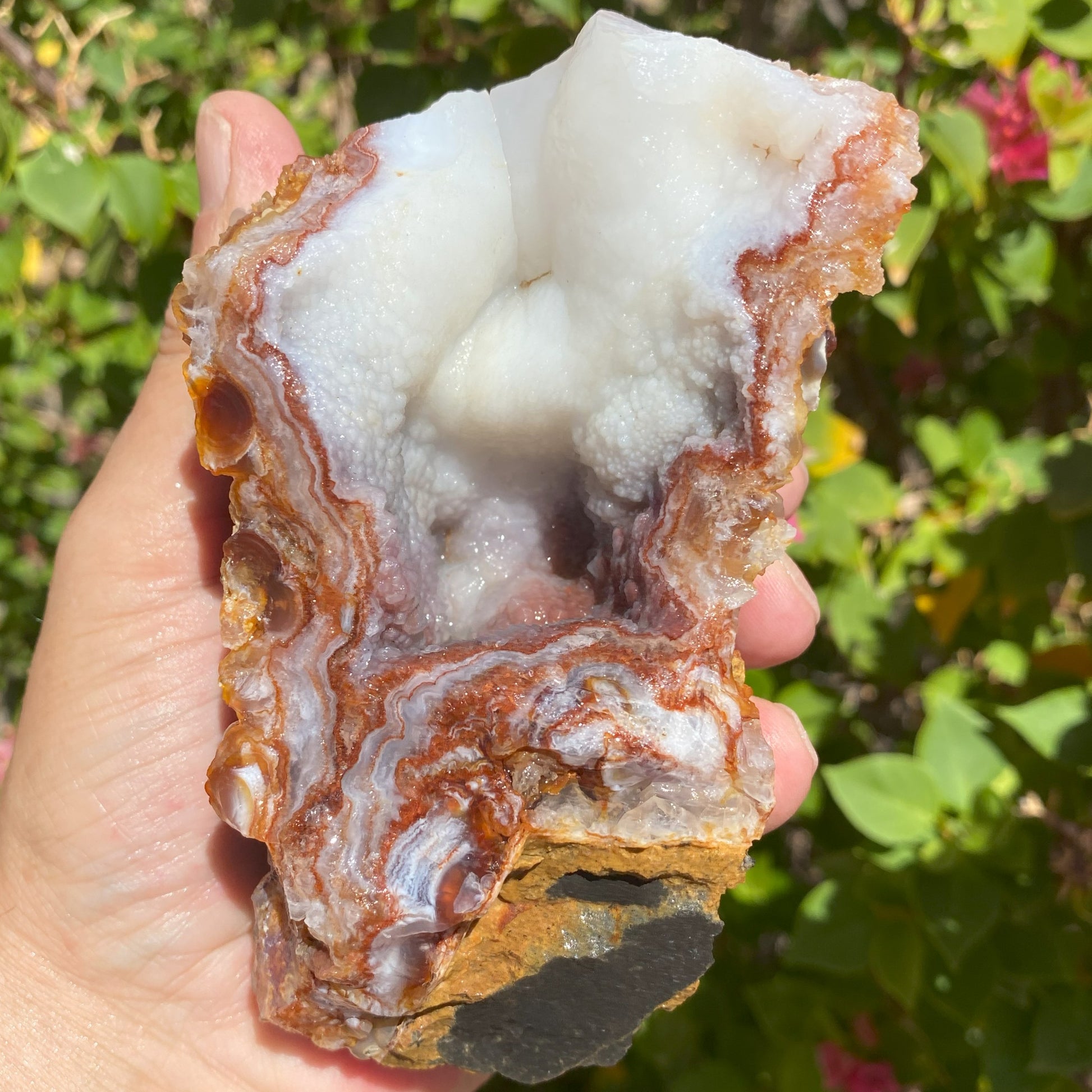 Fire Agate Rough Mineral Specimen held in a hand with a blurred natural background