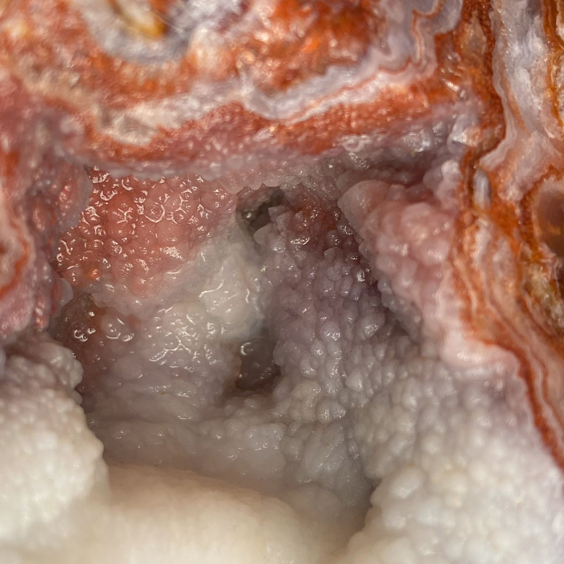Close up of a textured fire agate mineral specimen with red and white colors