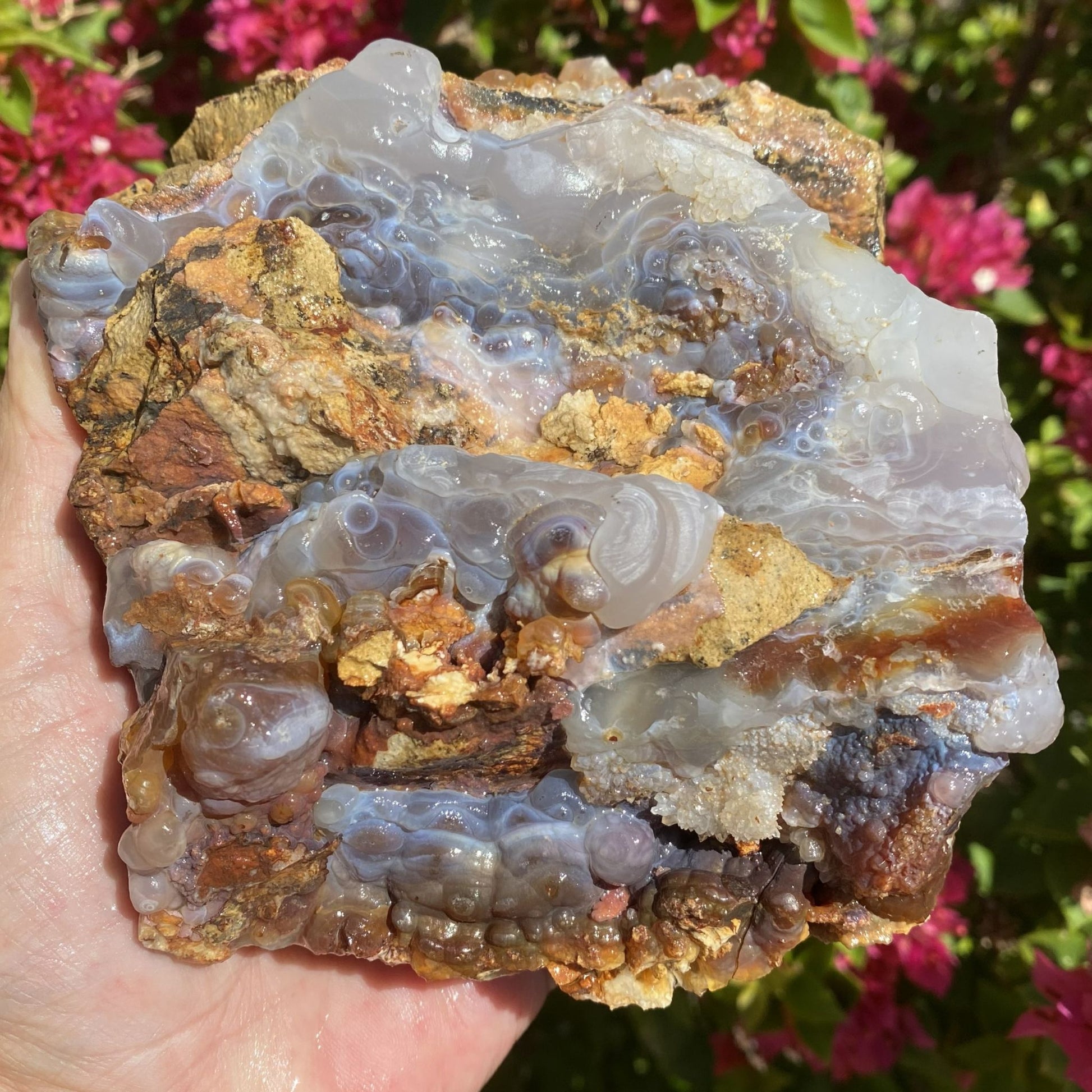 Slaughter Mountain Arizona Fire Agate Rough Mineral Specimen held in a hand with a blurred natural background
