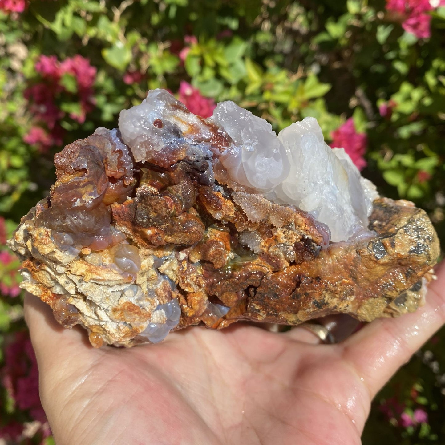 Slaughter Mountain Arizona Fire Agate Rough Mineral Specimen held in hand with blurred greenery and flowers in the background