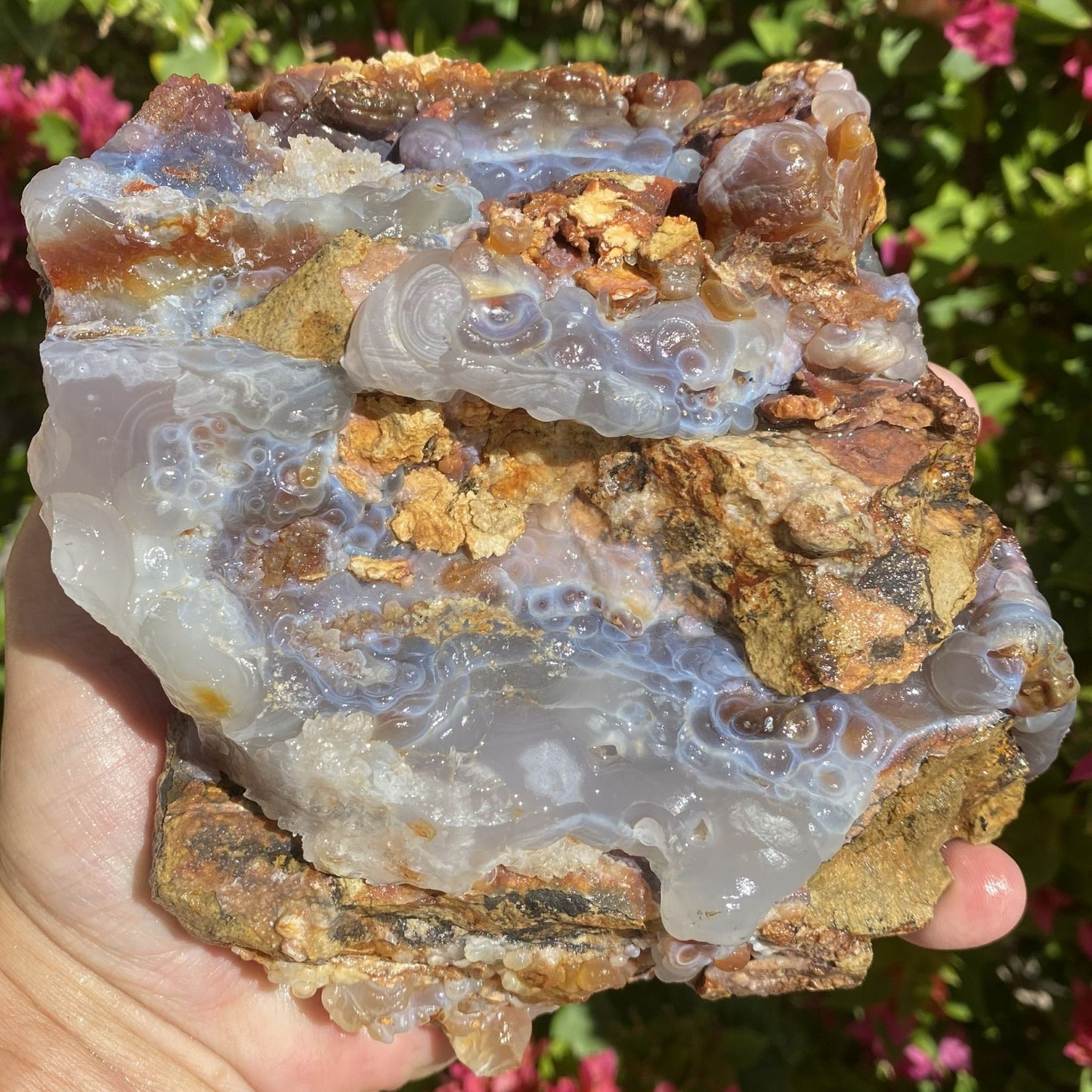 Hand holding a large Slaughter Mountain Arizona Fire Agate Rough Mineral Specimen with a translucent center against a blurred natural background