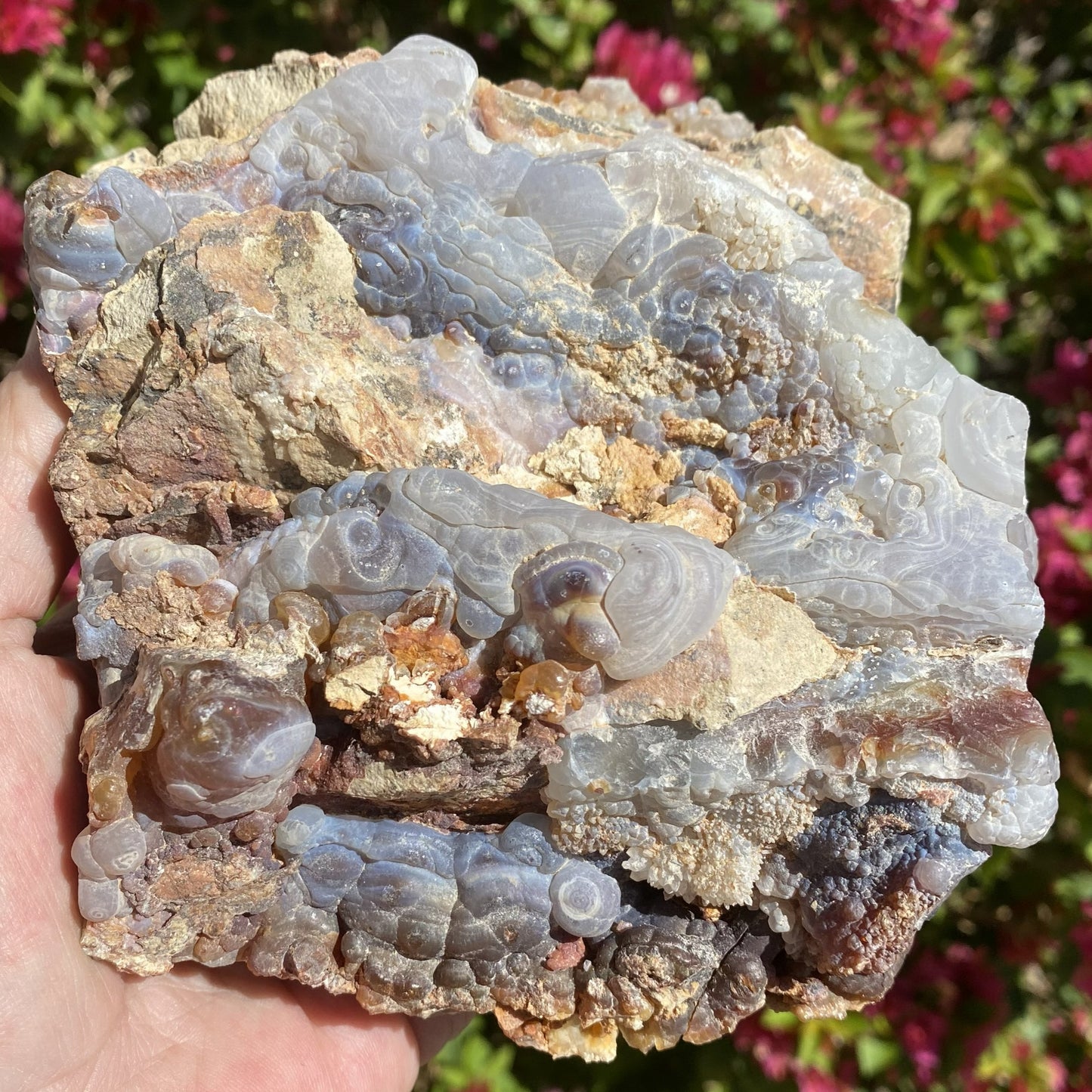 Close-up of a hand holding a Slaughter Mountain Arizona Fire Agate Rough Mineral Specimen with a blurred floral background